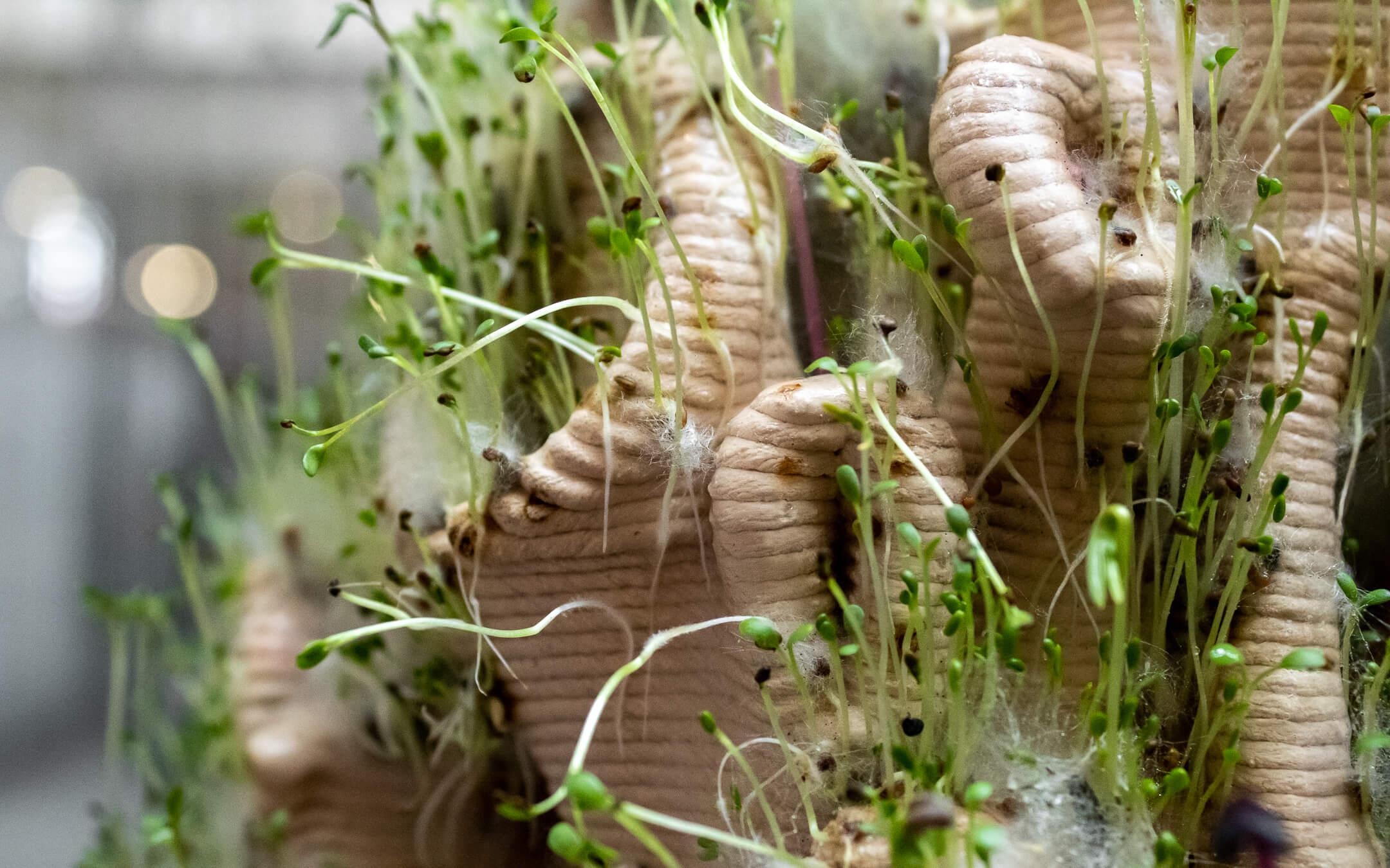 From moss to mushrooms, flora and fauna from around the city can find a home in Urban Reef’s unique sculptural micro-habitats.
Photo: Urban Reef