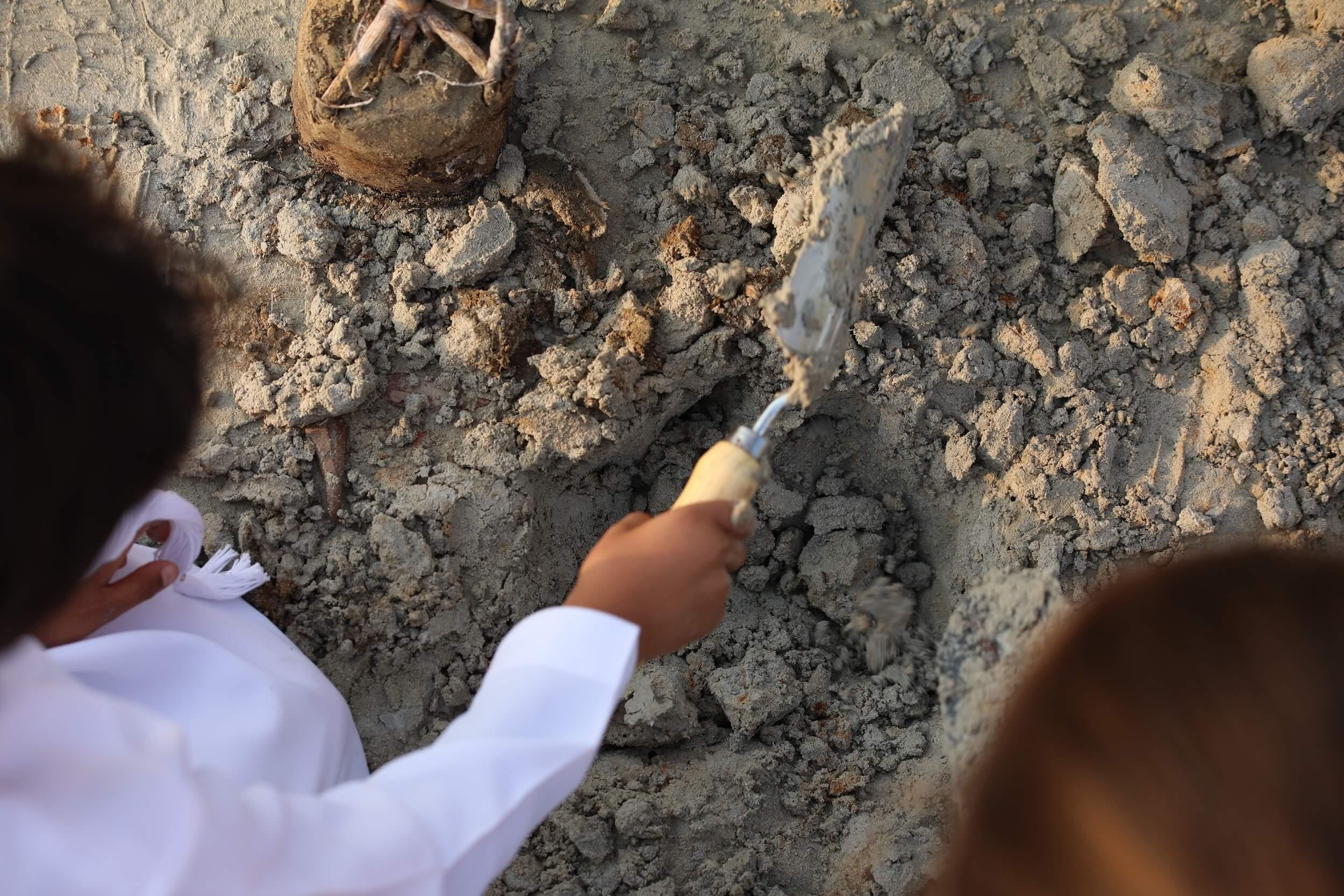 Photo:  The Climate Tribe, Al Jubail Mangroves