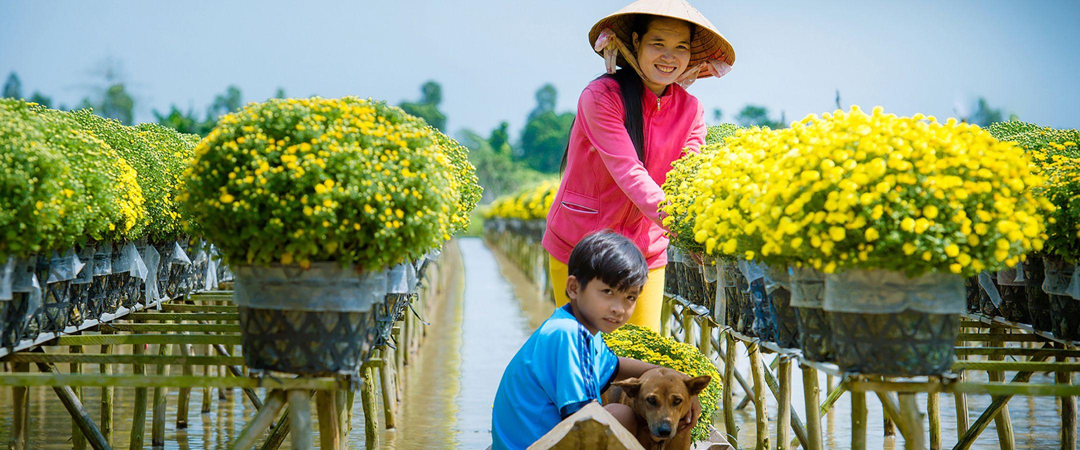 Flower Farms