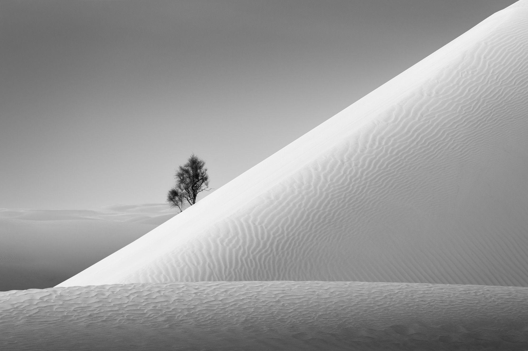 Roots of Resilience