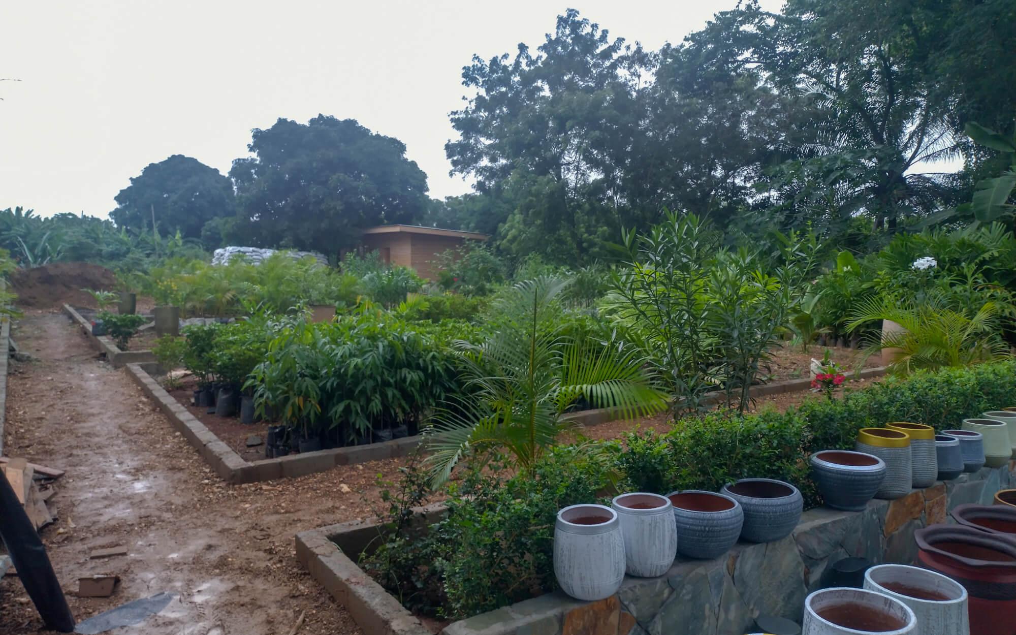 Bringing the verdant landscapes of Ghana’s rural areas into its bustling capital city, Accra, is one of Hobson’s primary goals. 
Photographer: The Green Diversity Foundation