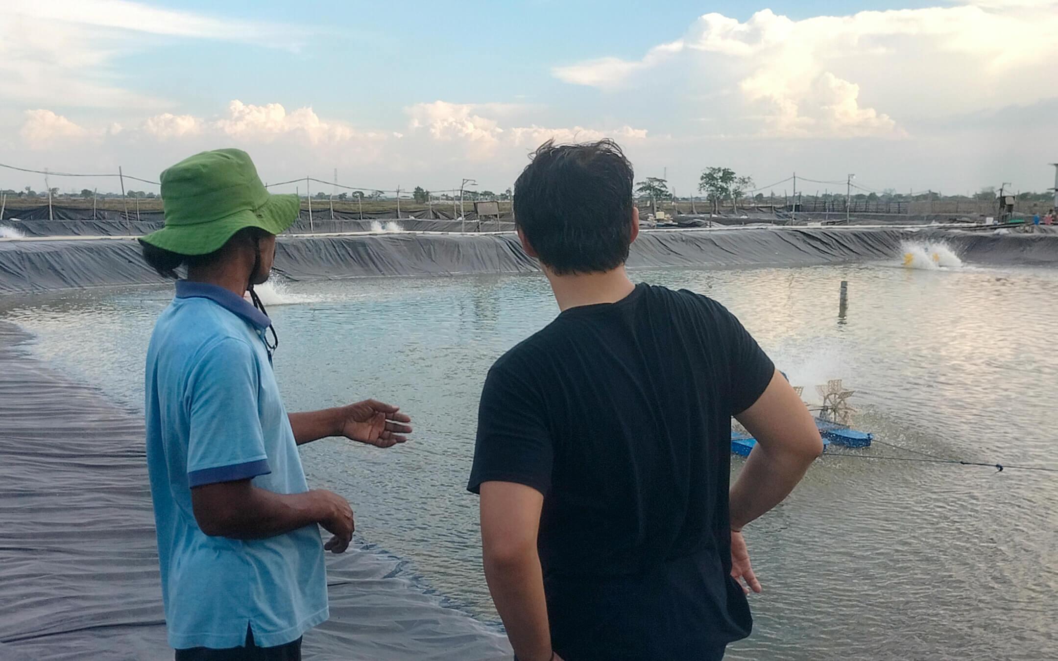 Mass production using these conventional fish farming methods has resulted in severe climate challenges throughout Indonesia.
Photo: Crustea
