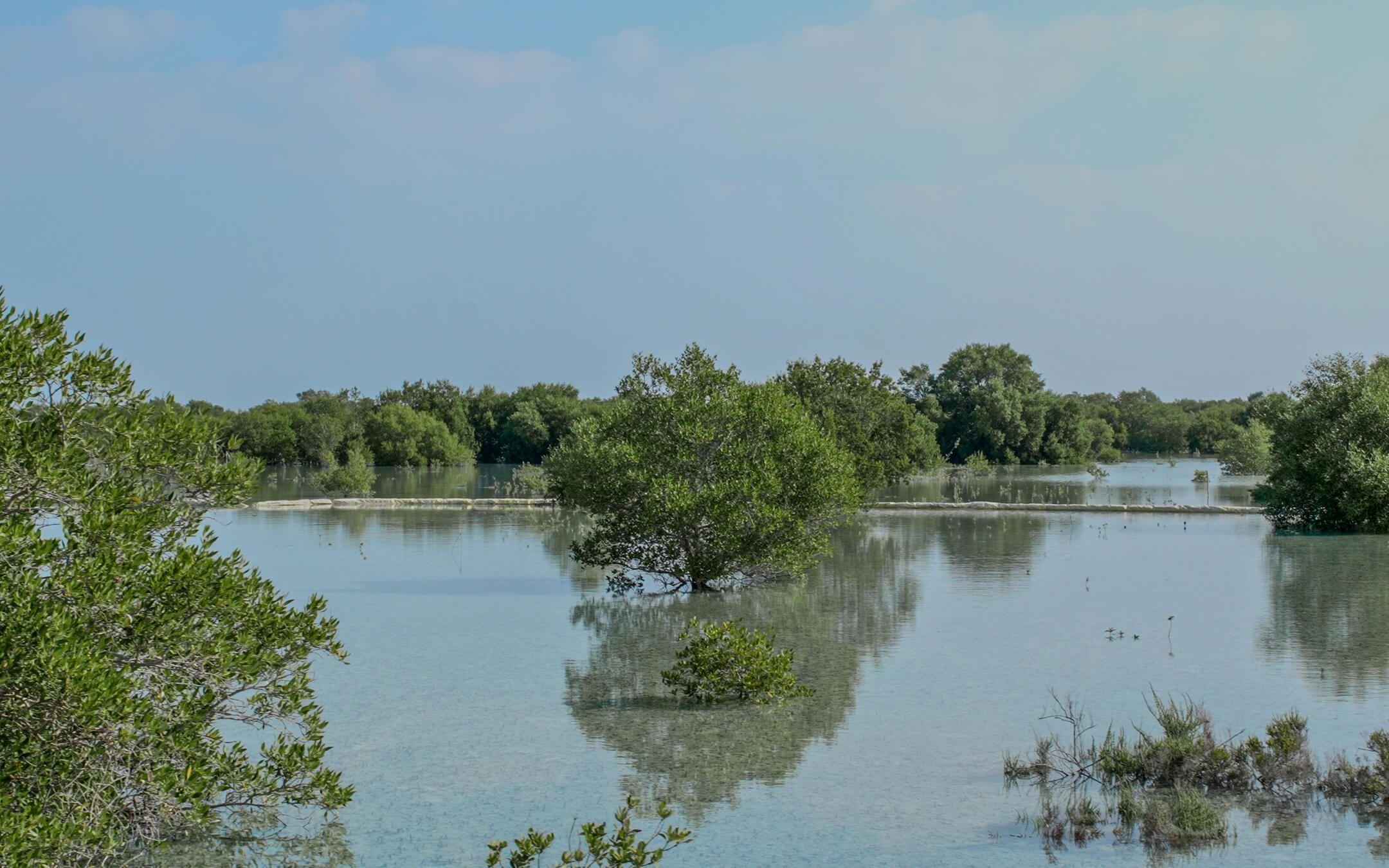 For Roikhanatun Nafi’ah, water is the life source of her family, her community and her country.
Photo: Crustea