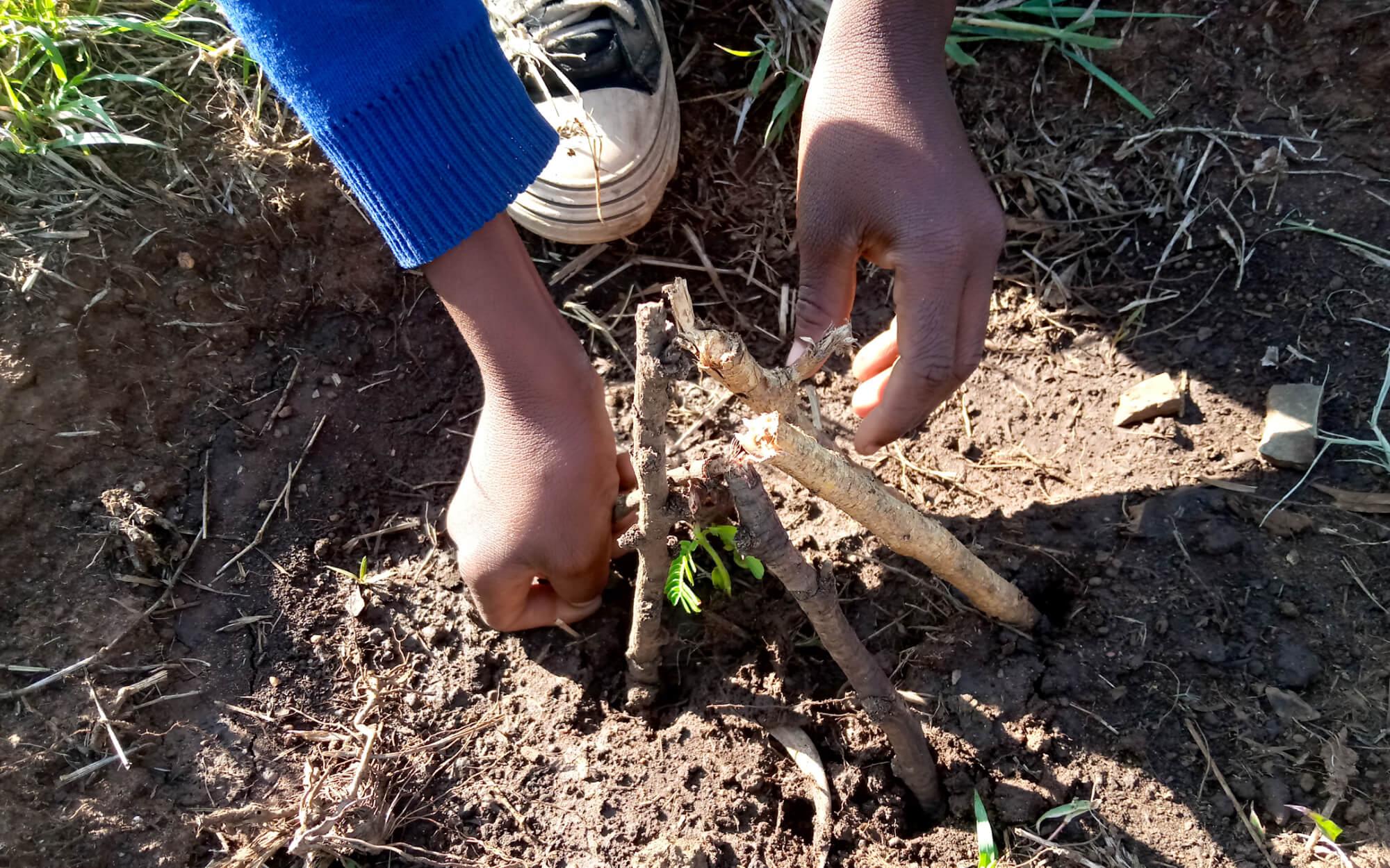 Students of Ramadhani Rashidi, Global Schools Advocate from Tanzania, plant a tree.
Photographer: Ramadhani Rashidi