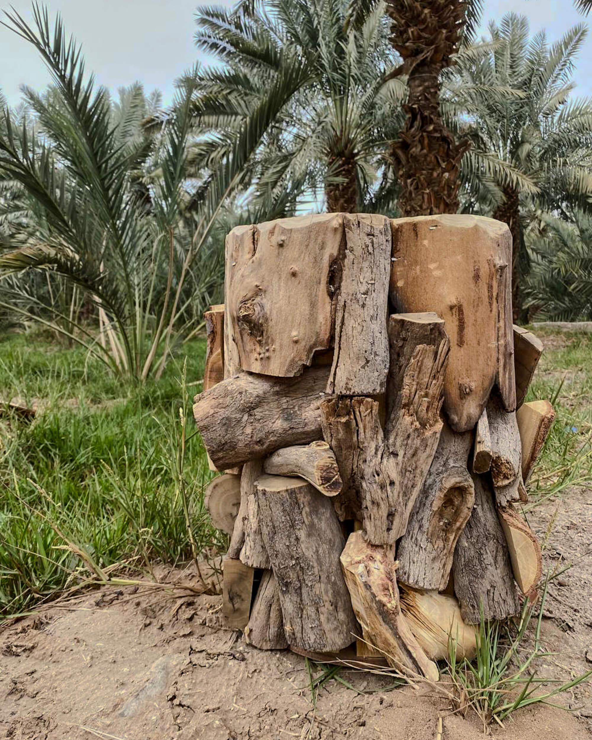 حافظ علي البيئة والأرث بشجرة الاثل
المصدر: أحمد الحربي