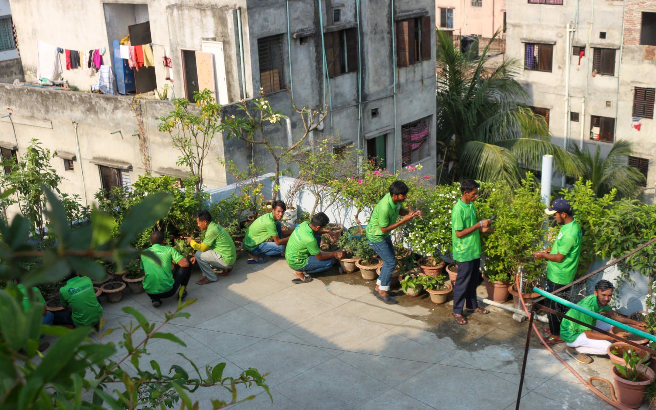 Ahsan’s rooftop gardens have become vibrant learning centres, with many being installed on top of schools and institutes.
Photographer: M A Hannan