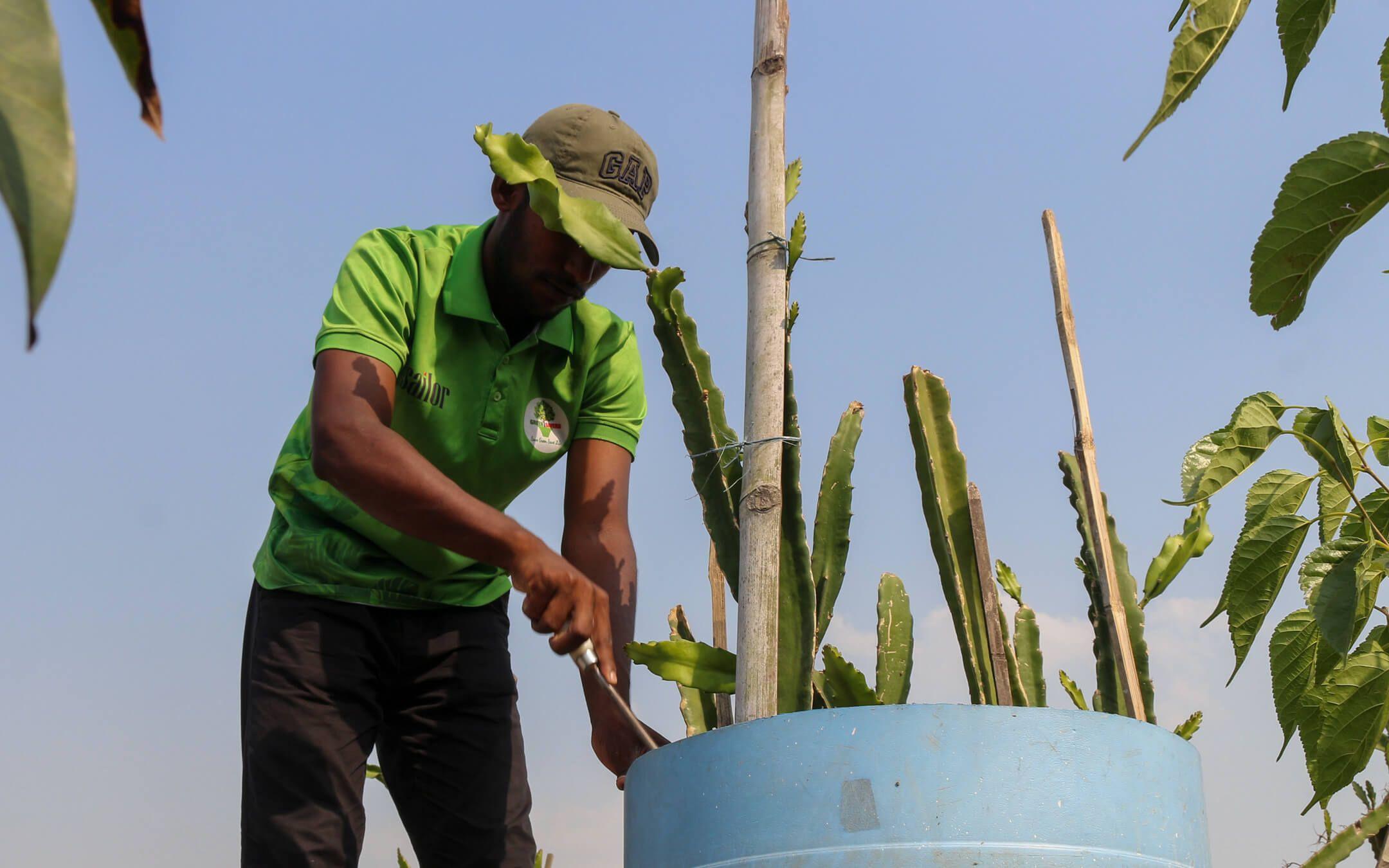 Ahsan Rony and his team believe it’s crucial to respect plant life and all that they do for the planet.
Photographer: M A Hannan