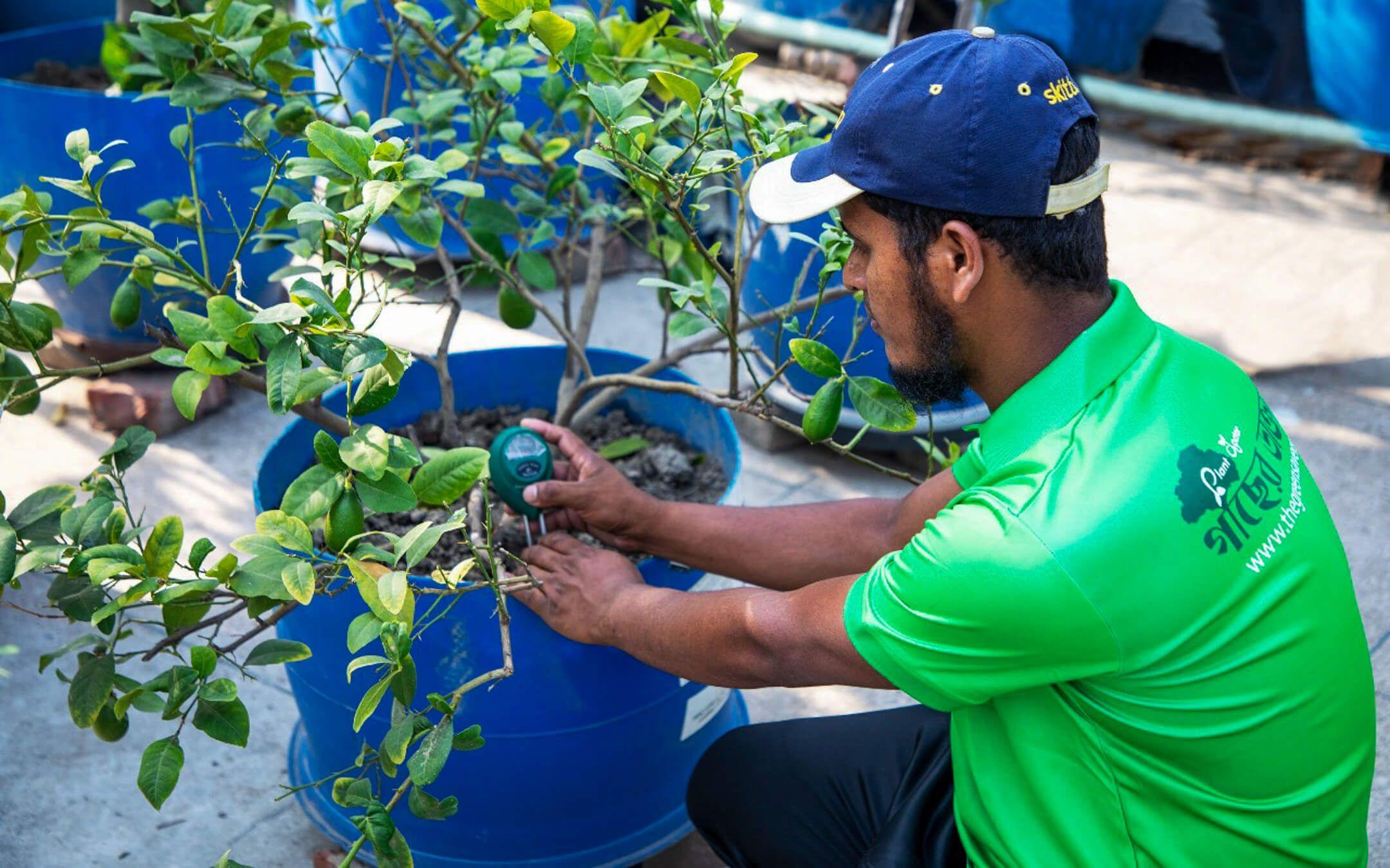 A member of the Green Savers team checks on the health of a young tree in Dhaka, Bangladesh.
Photographer: M A Hannan