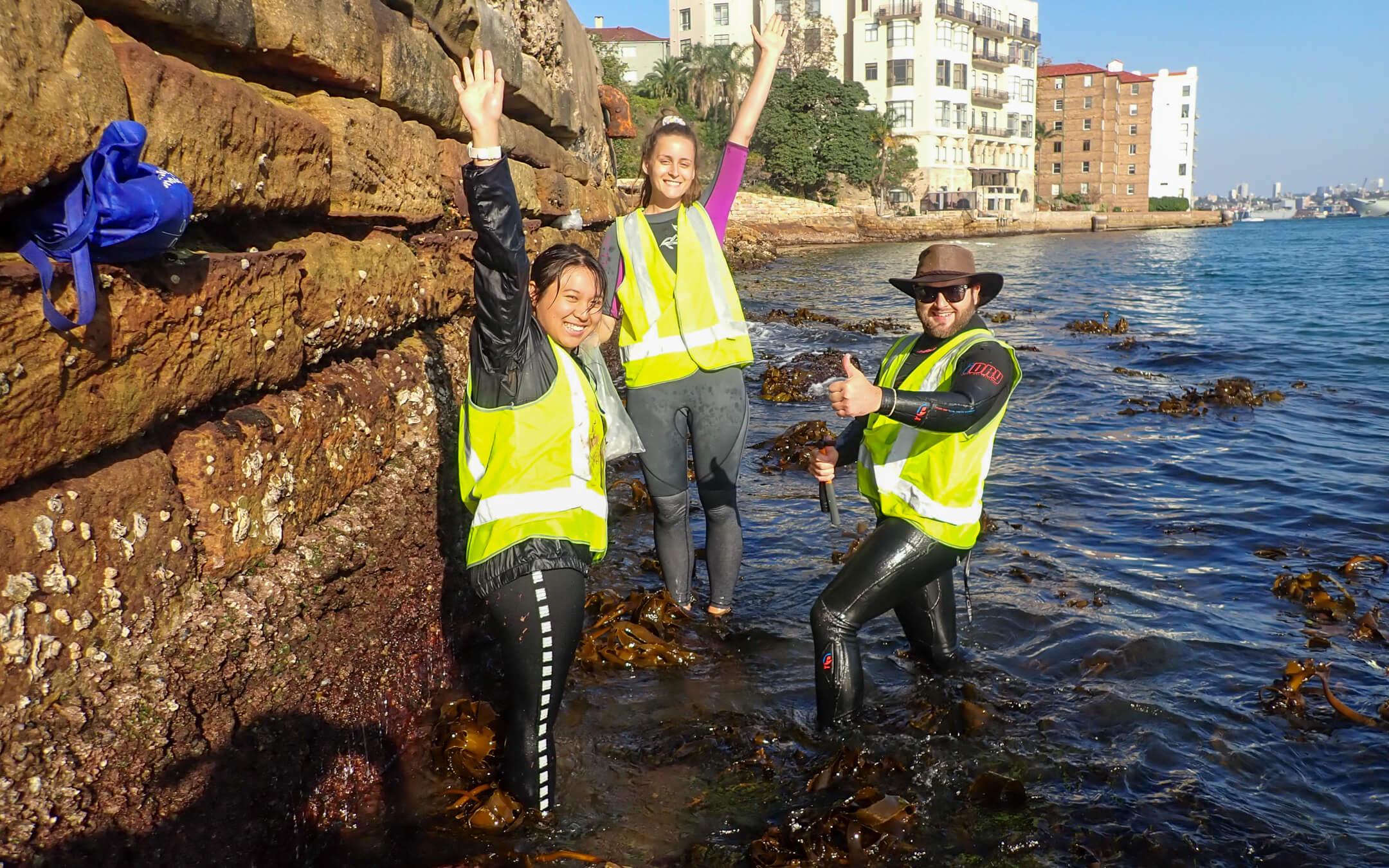 Living Seawalls is restoring marine biodiversity by installing new ‘homes’ for marine life in harbours and marinas.
Photo: Living Seawalls