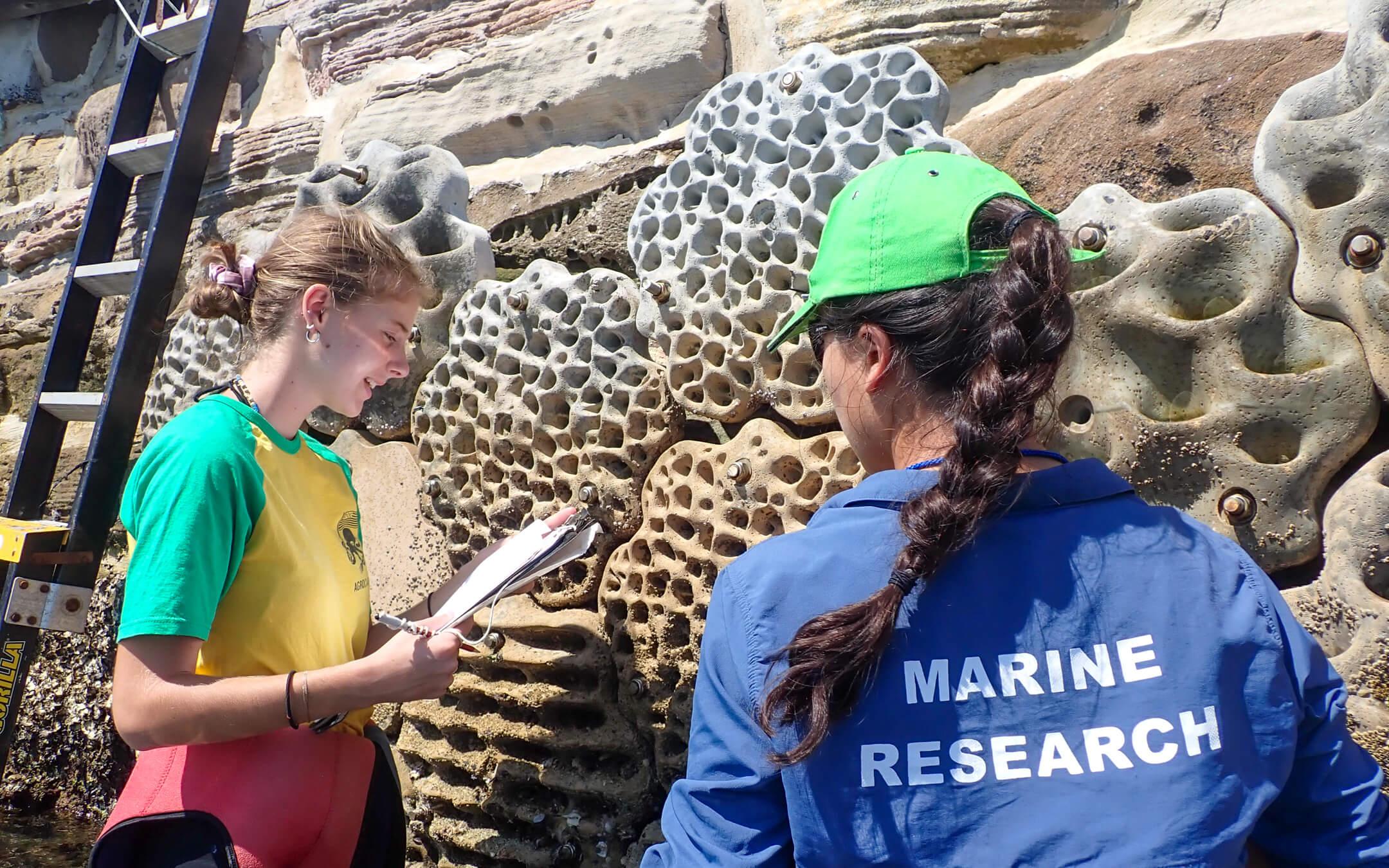 As the climate crisis becomes more apparent, other organisations have reached out, hoping to partner with Living Seawalls and expand their initiative.
Photo: Living Seawalls