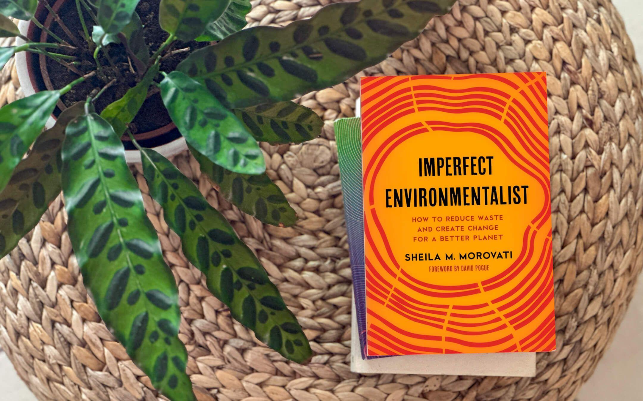 A how-to guide for the imperfect but curious, budding environmentalist. 
Photographer: Sheila Morovati