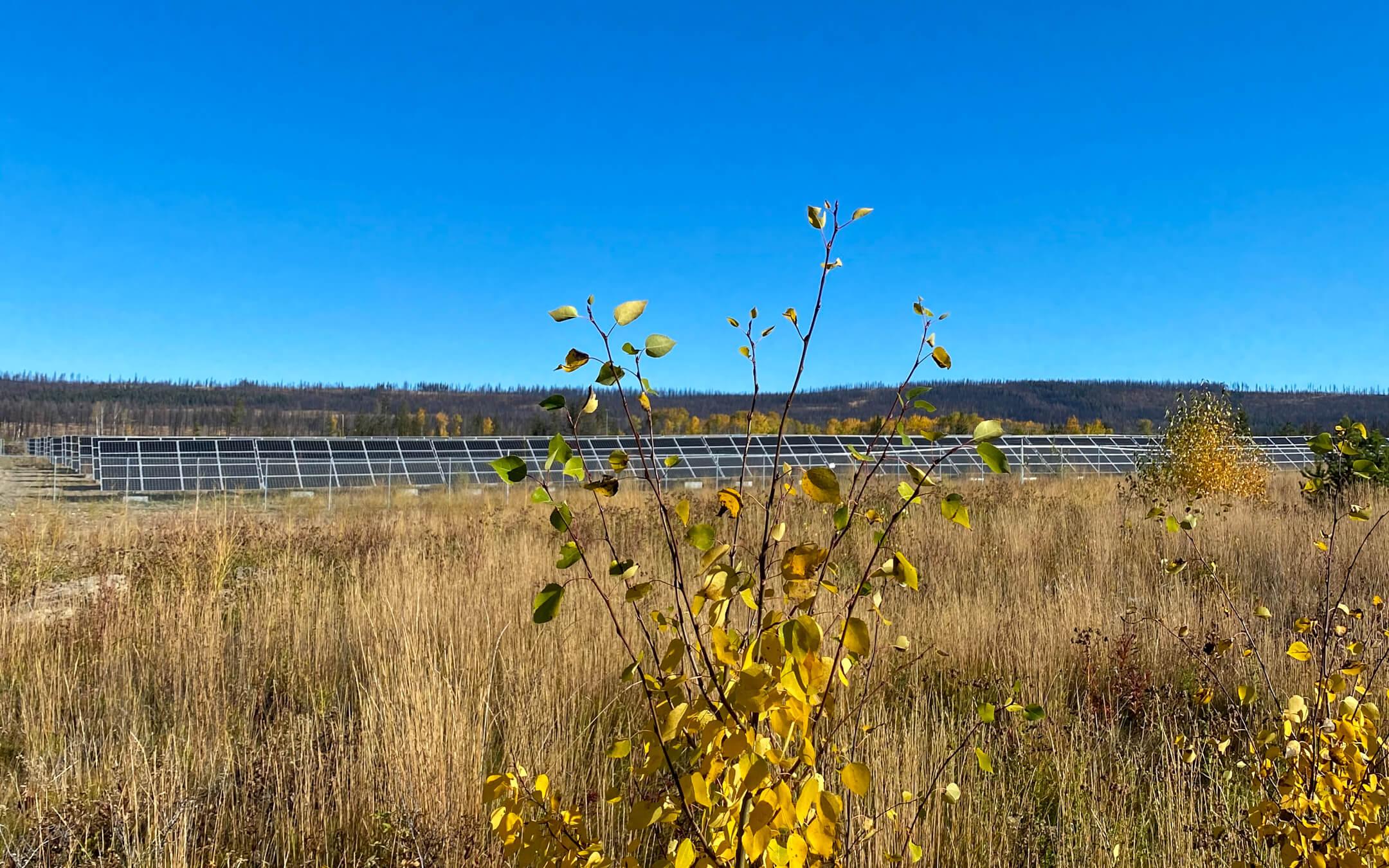 Clean energy projects include wind, solar, geothermal, and run-of-river hydro projects.
Photo: Clean Energy Association of British Columbia