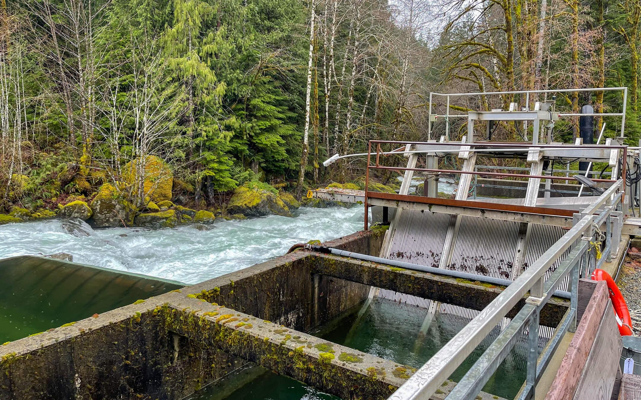 Clean Energy BC projects range from small run-of-river projects to larger designs, which produce nearly 200 megawatts annually.
Photo: Clean Energy Association of British Columbia