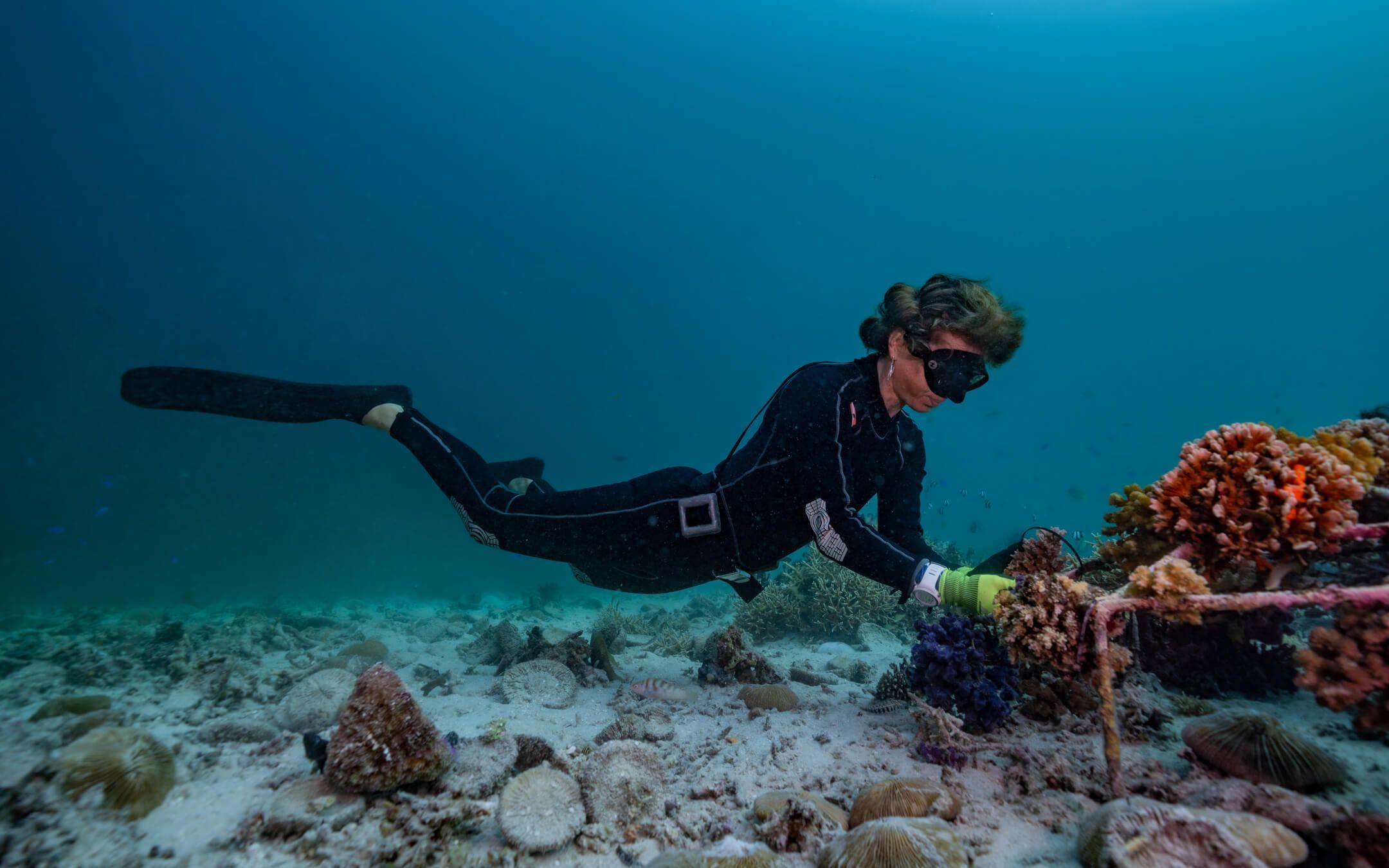 Rose Huizenga, founder of Coral Catch, checks on a young nursery, monitoring coral growth and health.
Photographer: Charlie Fenwick