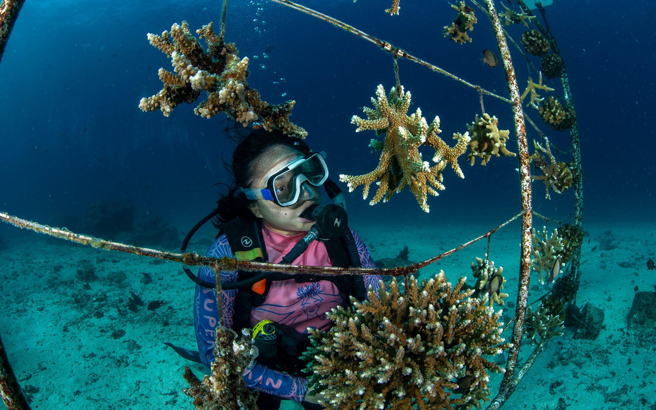 Coral Catch uses a variety of methods to grow corals, including rope, tree, and table structures, all designed to give corals the best chance of survival.
Photographer: Nicolas Hahn