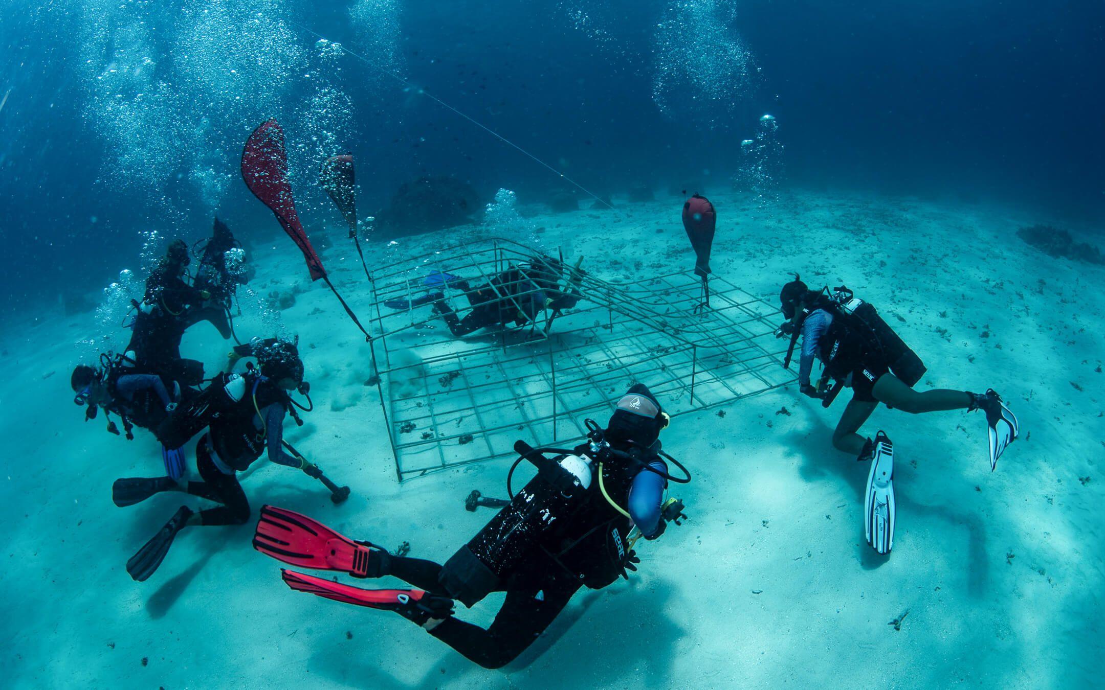 Coral Catch ensures that each of its participants are a PADI-certified diver by the end of the nine-week program.
Photographer: Nicolas Hahn