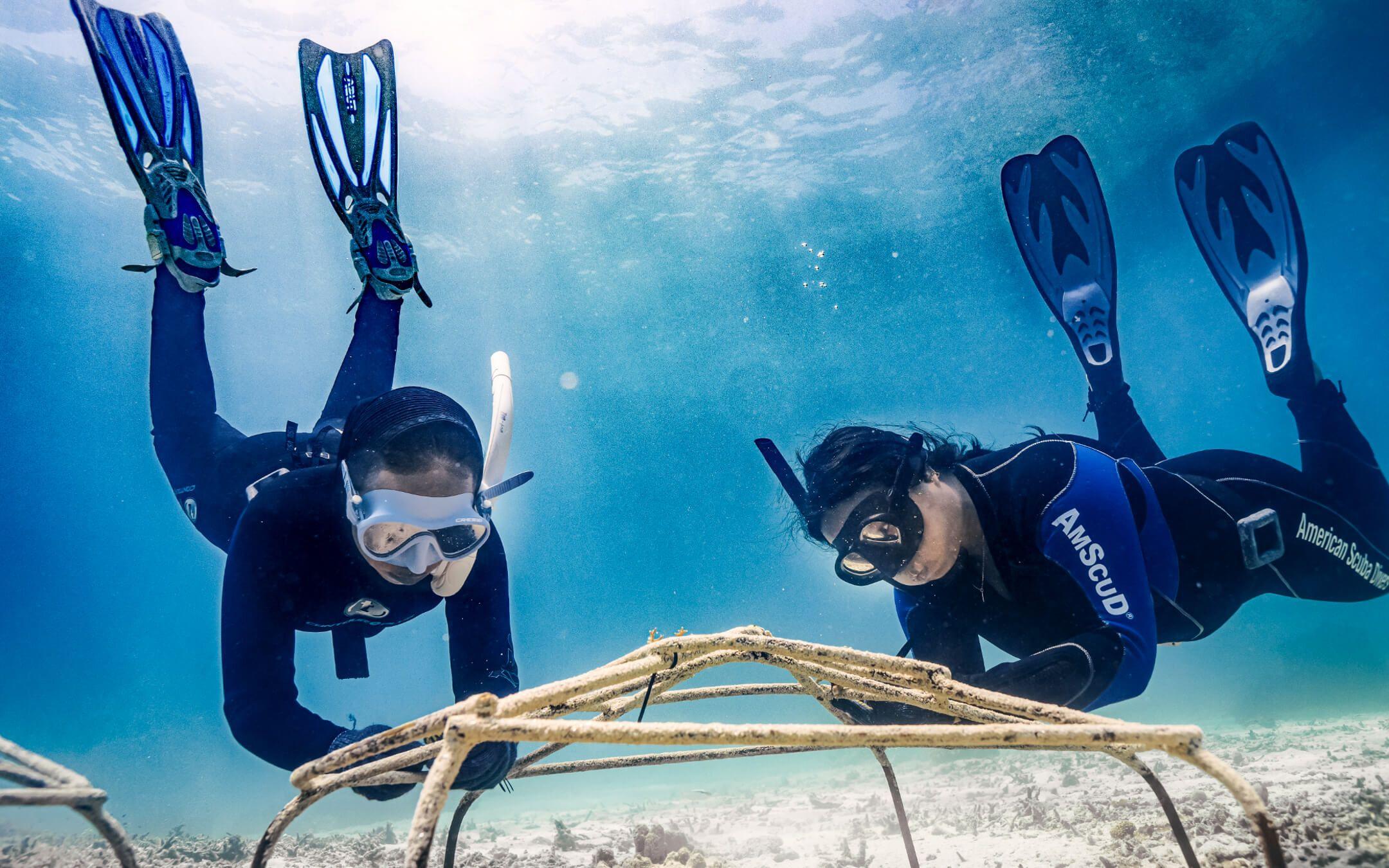 Two divers from Coral Catch examine the beginnings of a coral nursery in the shallow waters of Indonesia.
Photographer: Florian Allgauer