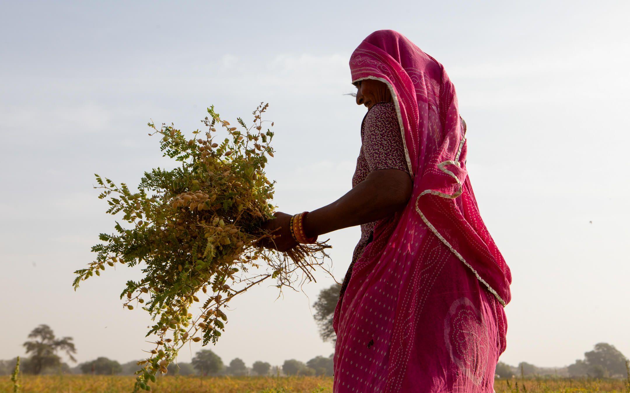 Although the current trend is technology, the Fearless Collective believes that when it comes to climate change, it is important that the narrative of the global South is addressed.
Photo: Gayatri Ganju