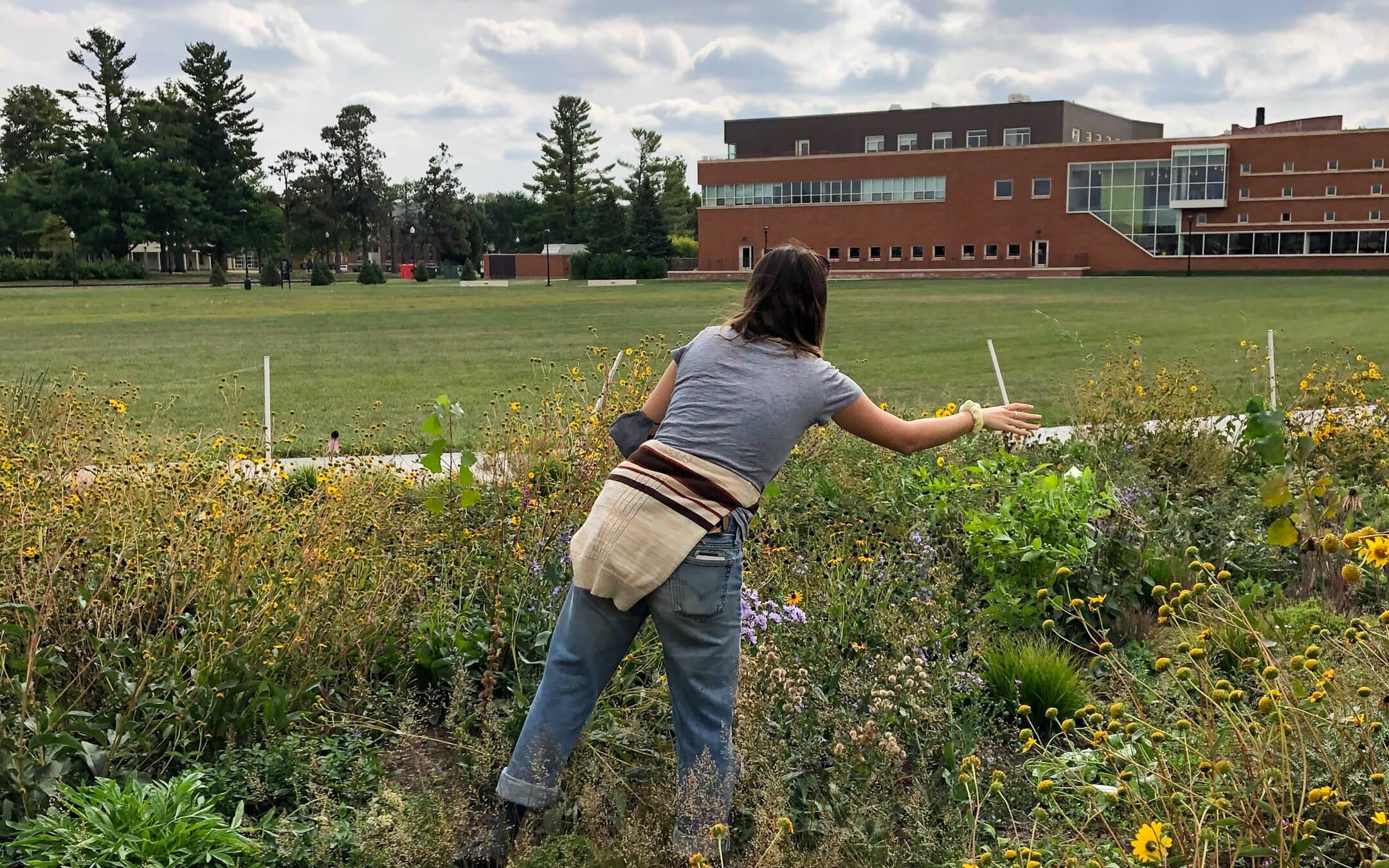 A student helps to maintain a native ‘prairie’ installed on a university campus.
Photo: Re:wild Your Campus