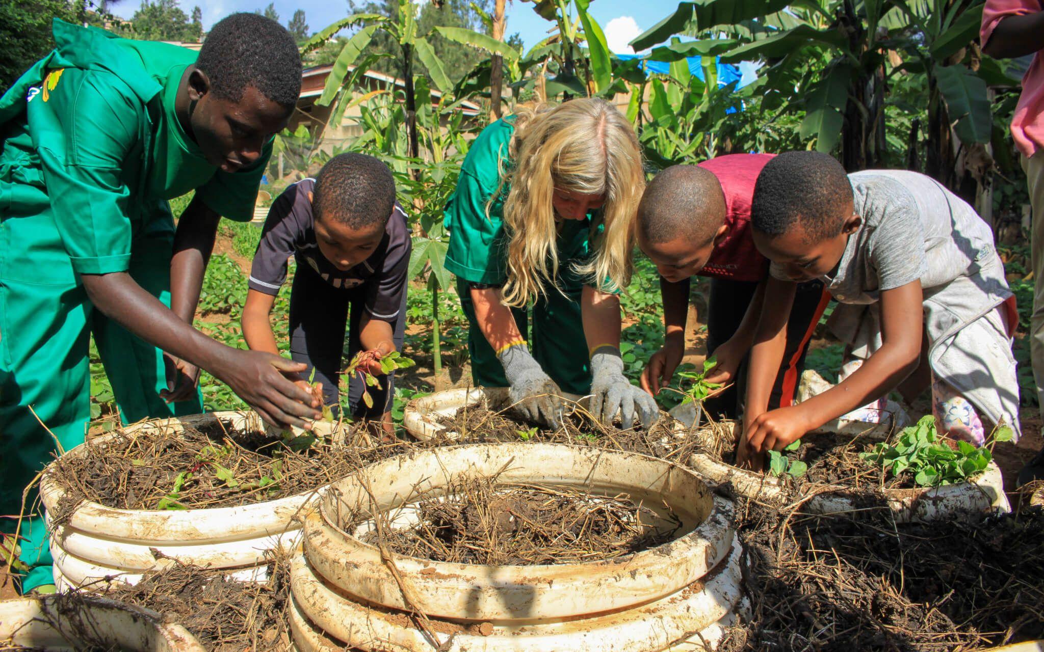 With Garden to Connect, PVC pipes are repurposed as planters, creating portable, accessible gardens.
Photo: Garden to Connect