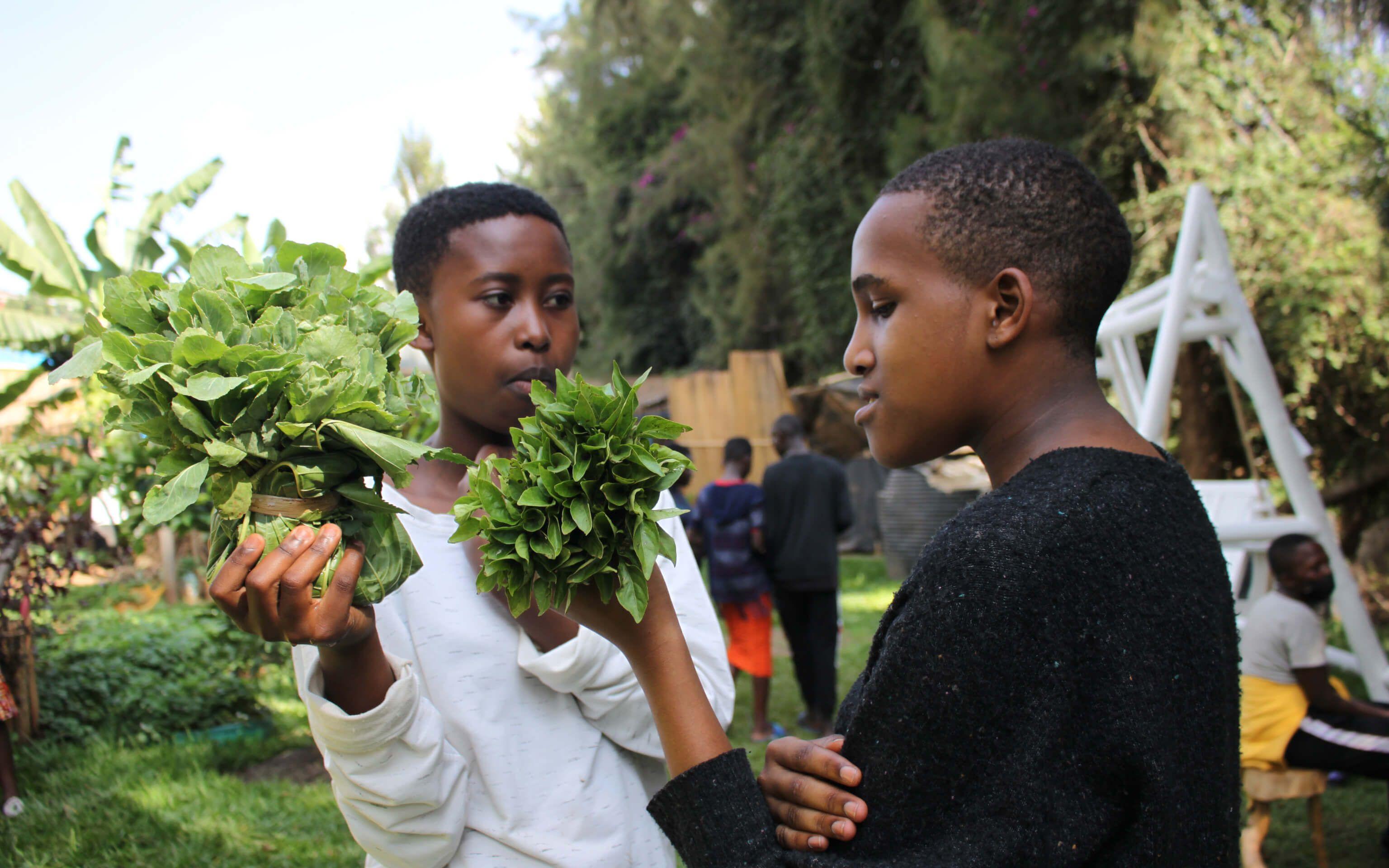 In Rwanda, Garden to Connect intertwines kitchen gardening, education, and empowerment to encourage young people to live and eat more sustainably.
Photo: Garden to Connect