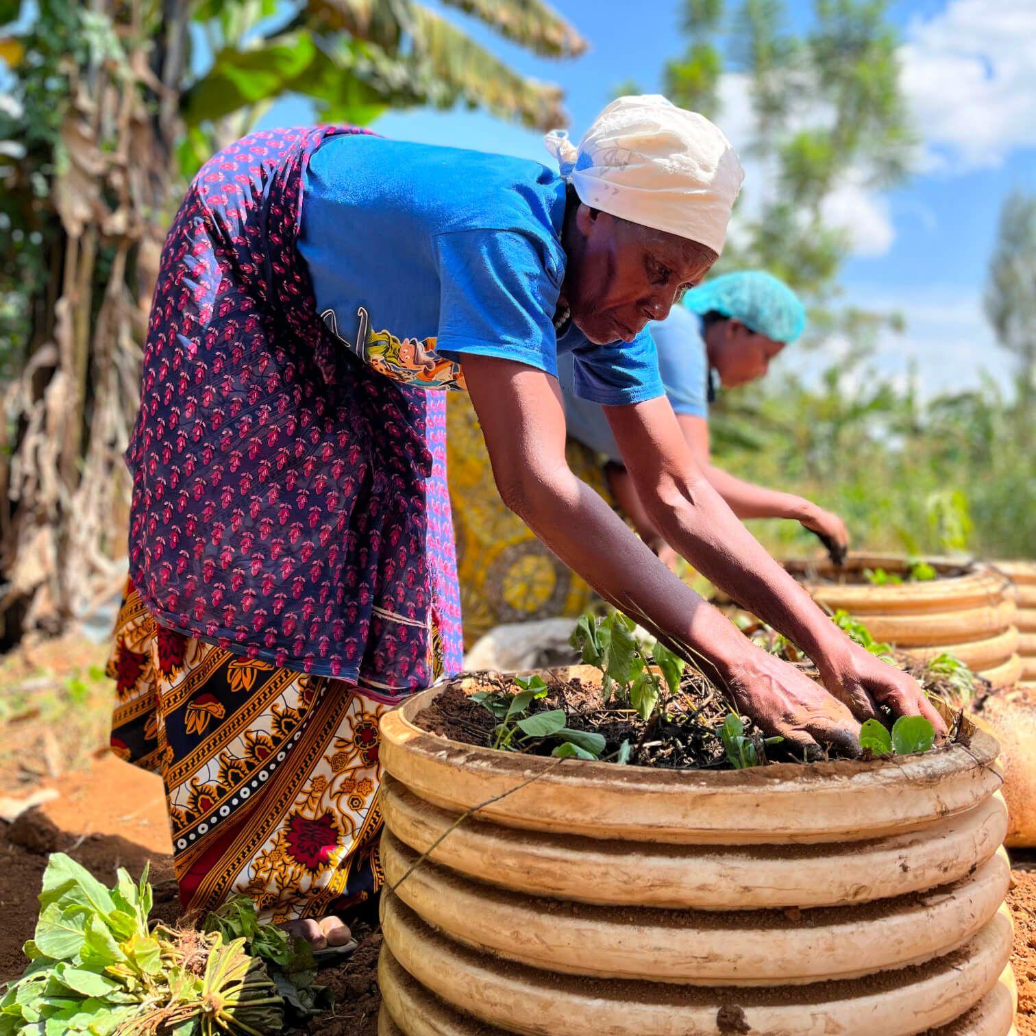 These community gardens offer both food security and a way to connect with neighbours and new friends.
Photo: Garden to Connect