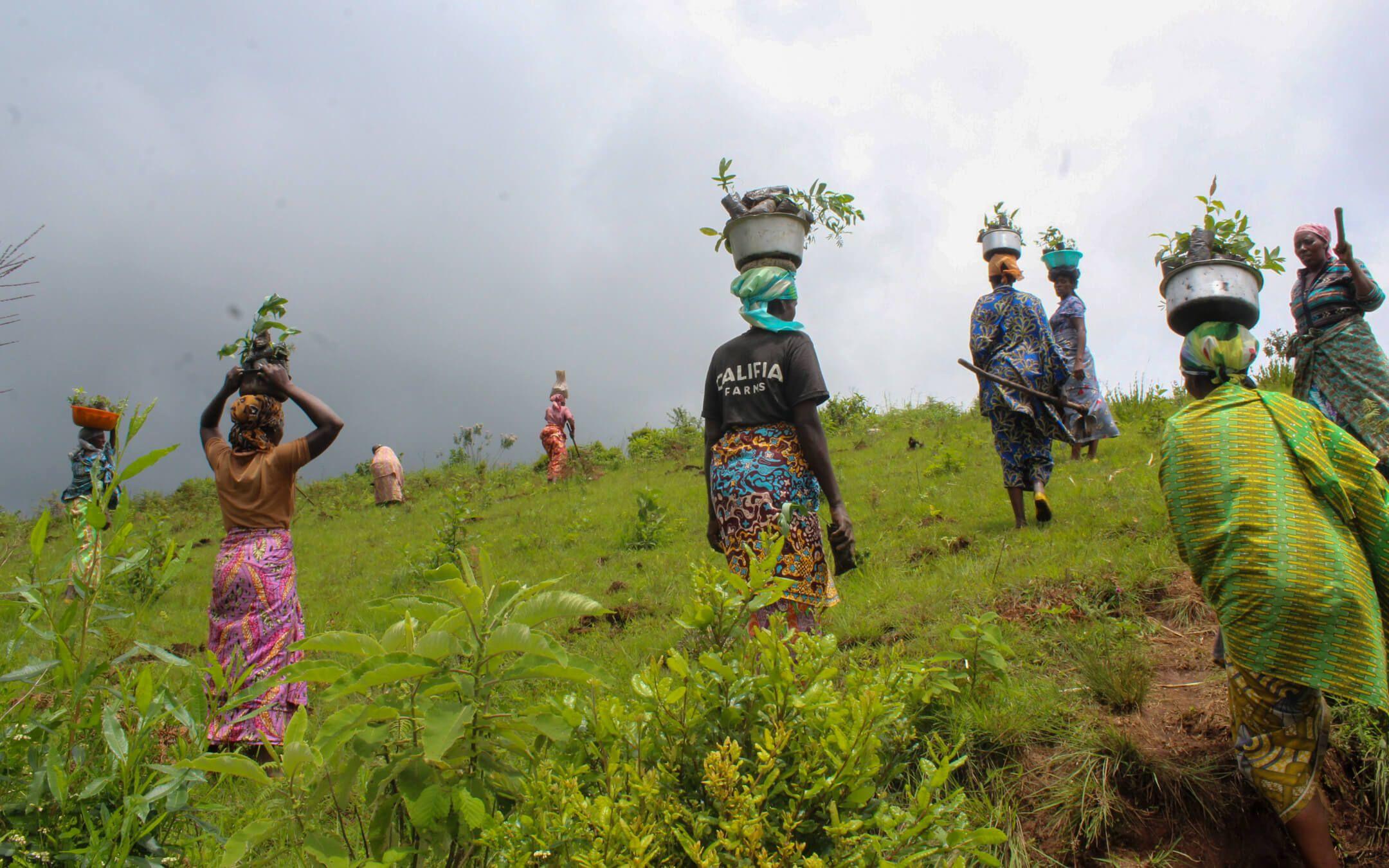 Community members from Hero Women Rising work together to support their ecosystem and reforestation efforts.
Photo: Hero Women Rising