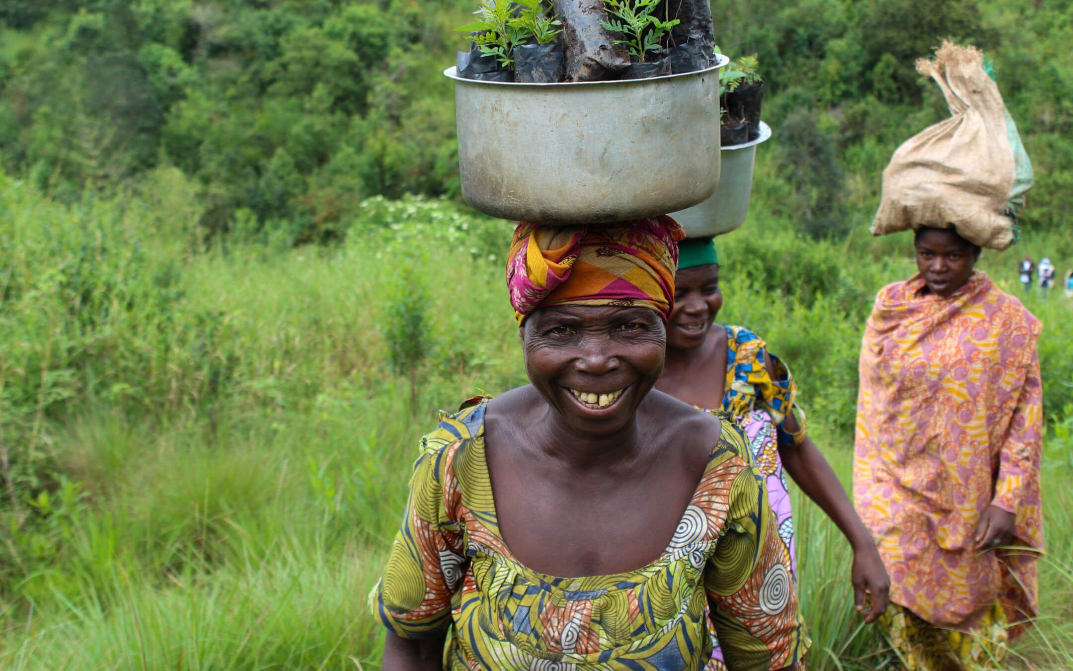 The Congo Basin’s lush forests, known as the ‘lungs of Africa’, absorb six times more CO2 than the Amazon. Reforestation and preservation efforts are crucial. 
Photo: Hero Women Rising