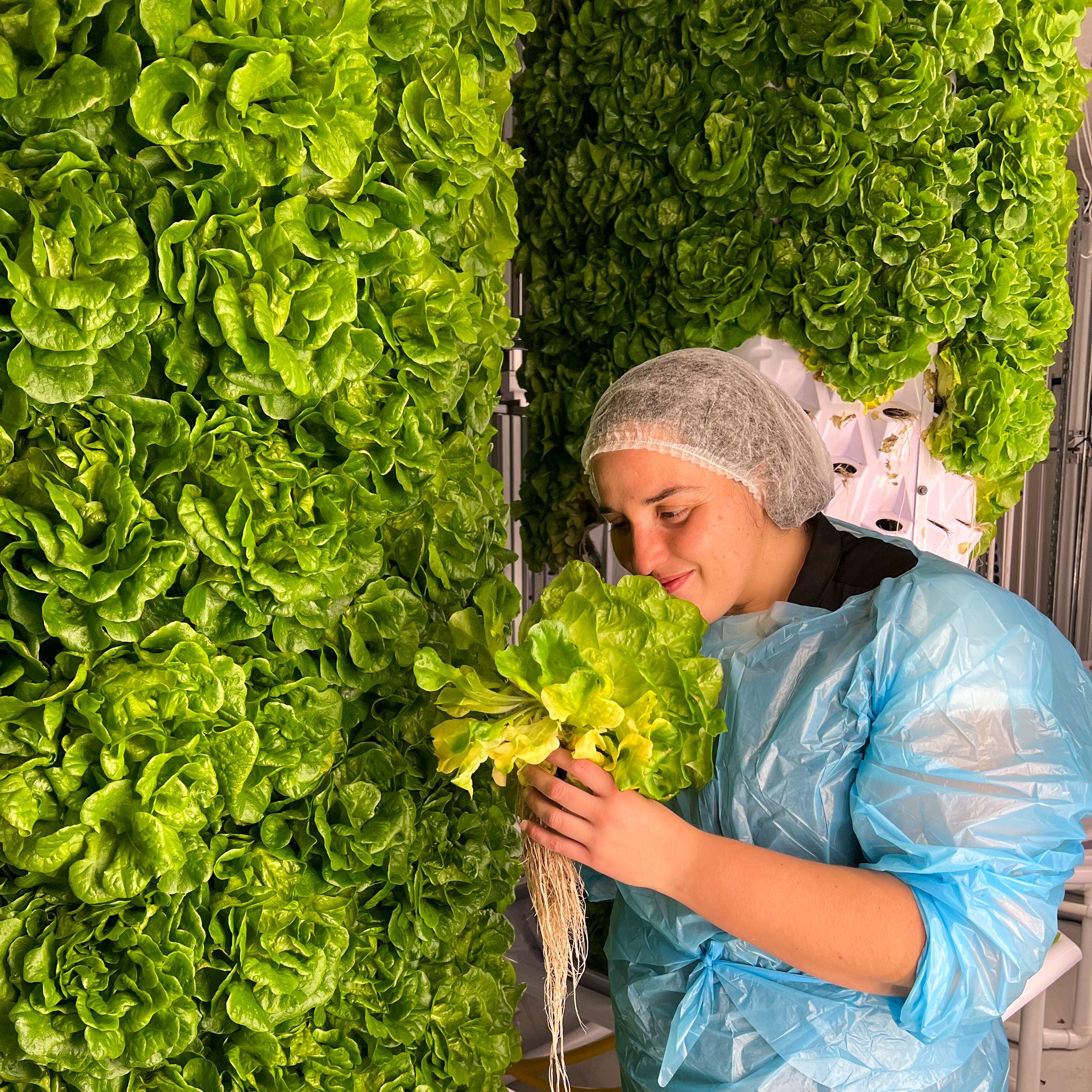 The Food Engine founder Ghita Bahmad decided that the world’s agriculture systems needed reform, and she began to experiment with farming after work.  
Photo: The Food Engine