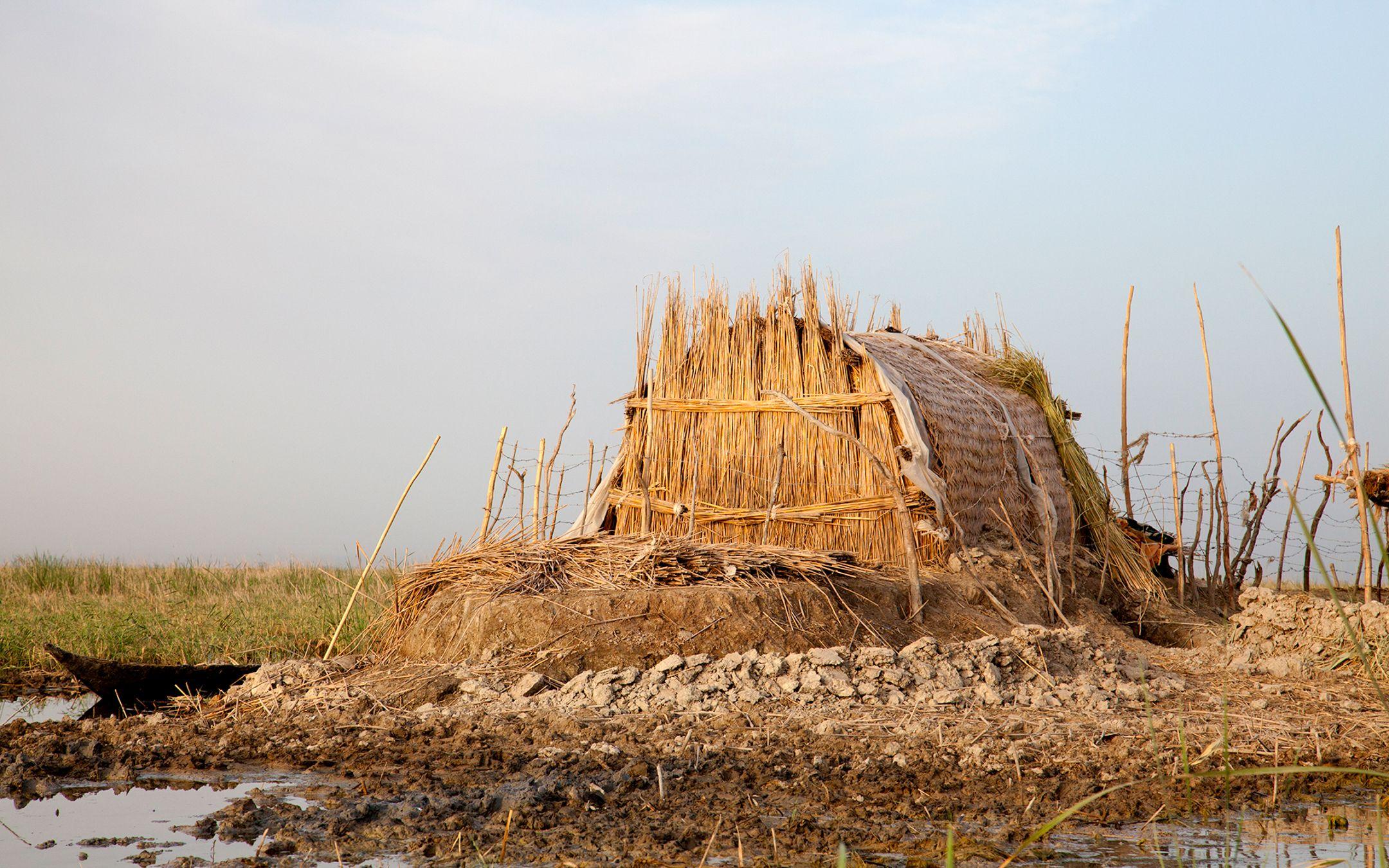 Buffalo Breeder's Marsh Reed Hut. Mesopotamian Marshes 2011.
Photographer: Meridel Rubenstein