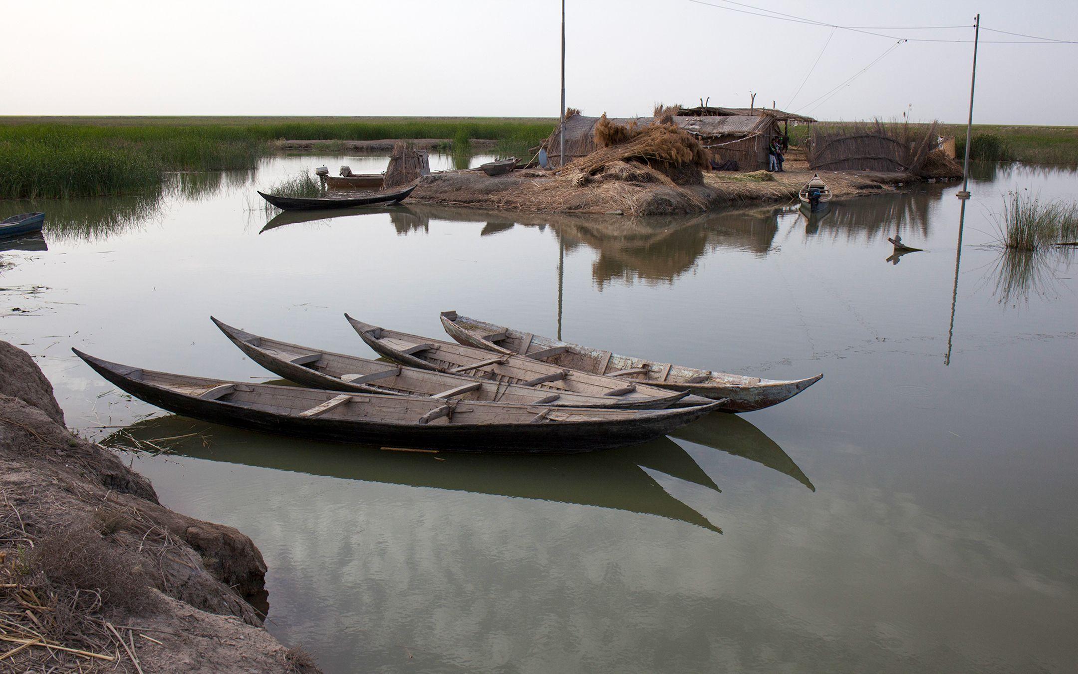 Buffalo Breeders  Floating Island Compound, on the outskirts of Mesopotamian Marshes 2011.
Photographer: Meridel Rubenstein