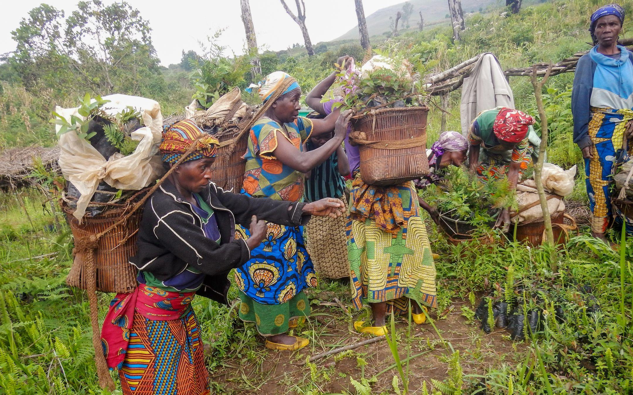 Members of the Women for Forests group work together in the Democratic Republic of Congo.
Photo: WECAN International