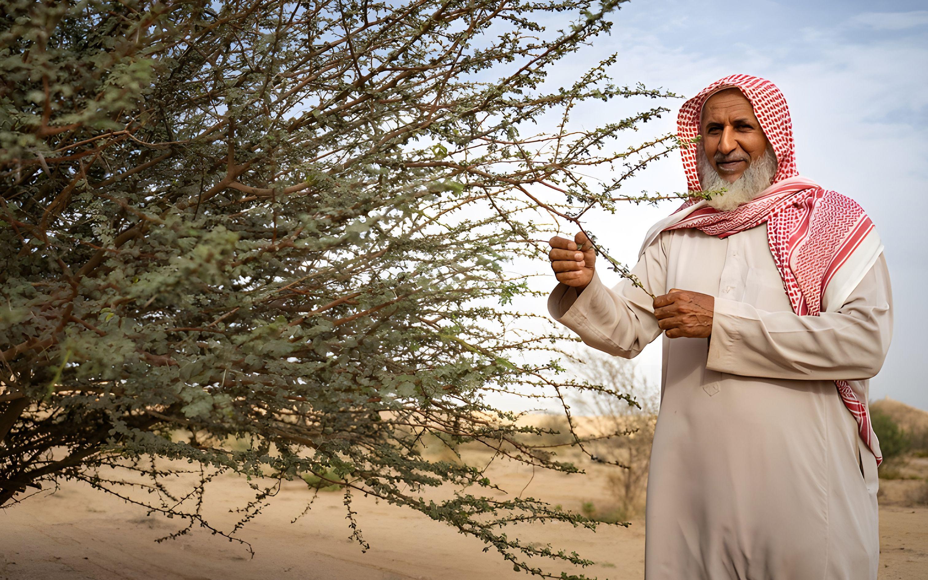 مدير منتزه ثادق الوطني، عبد الله إبراهيم العيسى، وأعضاء آخرون من المحافظين على البيئة في وسط السعودية، يفتخرون بجهود التشجير التي حولت هذه المنطقة الصحراوية إلى وجهة طبيعية مرغوبة
 تصوير: دانكين مور