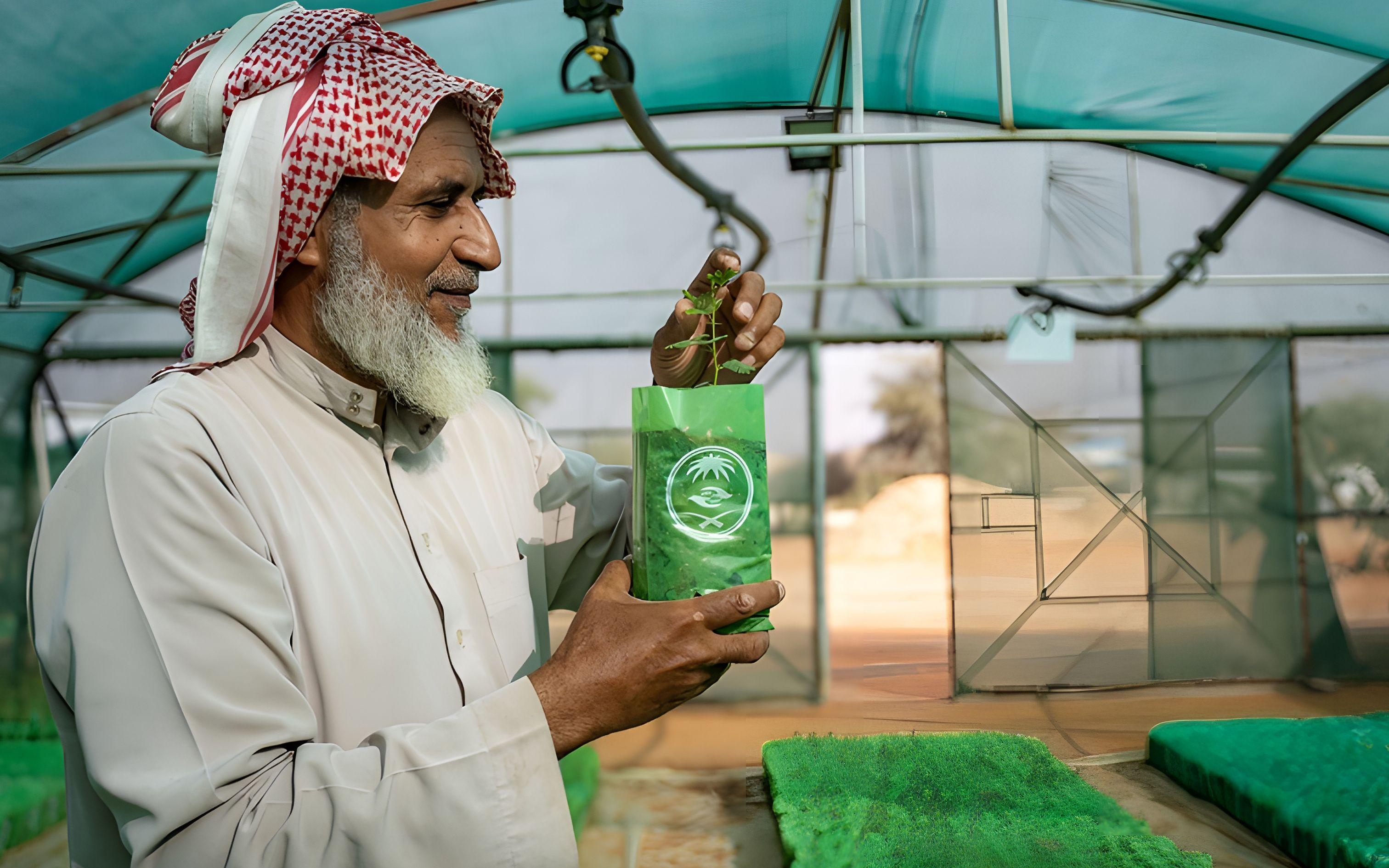 مغامرة خضراء في صحراء السعودية