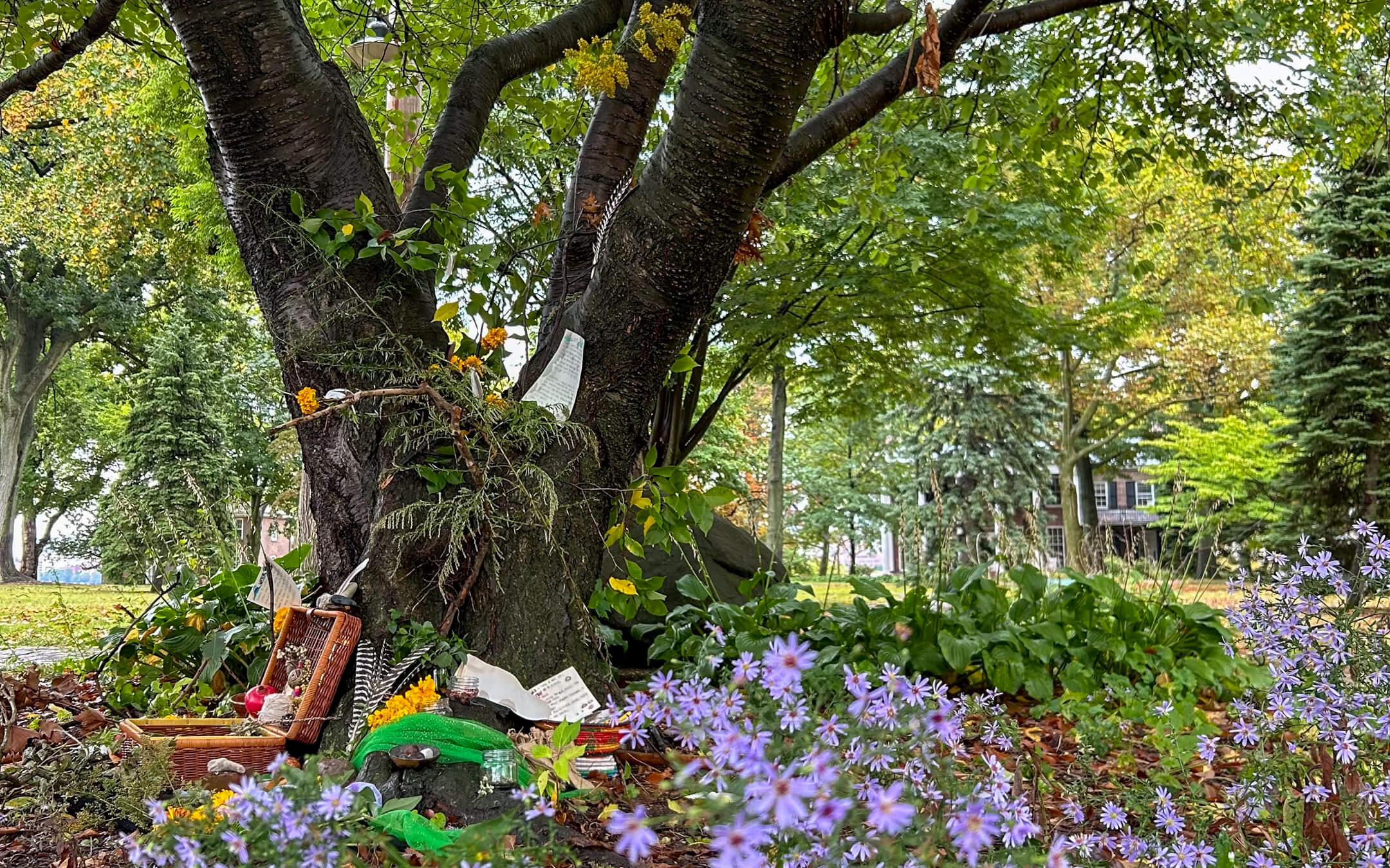 At Climate Cafe NYC, all are welcome to participate in workshops, lectures, and discussions. This safe space offers New Yorkers comfort, support, and a creative outlet to share their climate concerns.

Photo: Climate Cafe NYC
