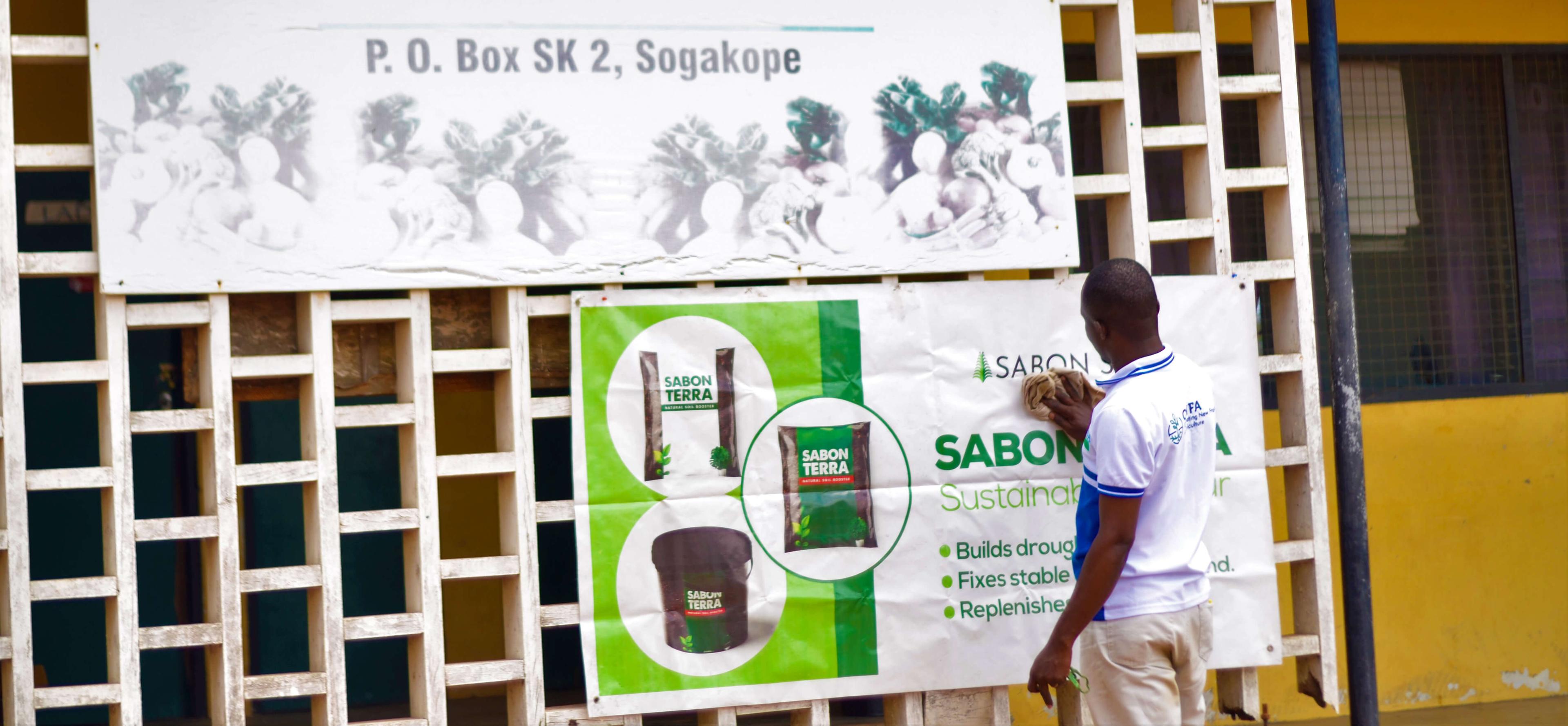 Firm Roots in Renewed Soil