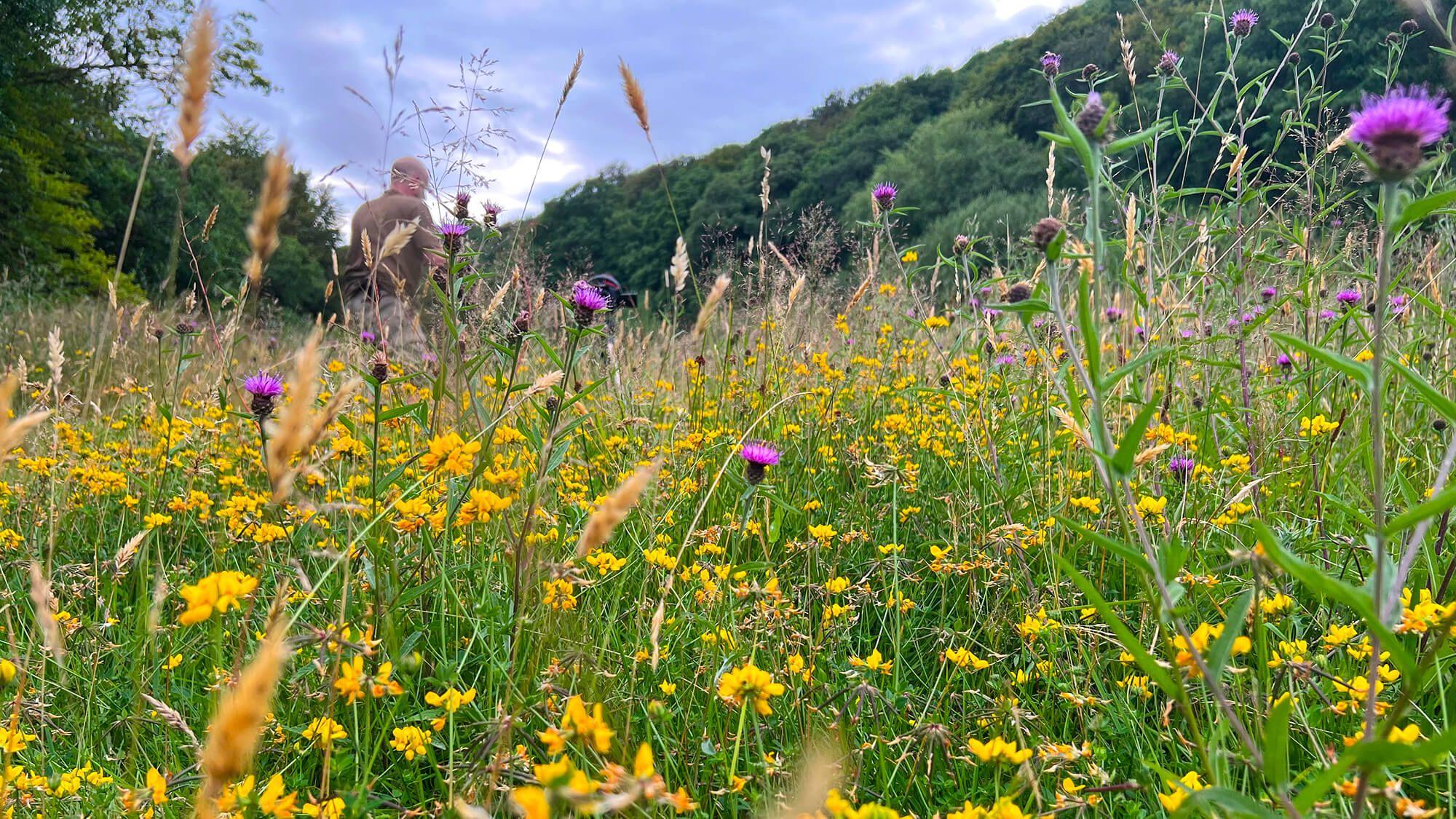 At Rewilding Coombeshead, Nick serves as the creative director, alongside other conservationists, on initiatives ranging from recovering lost species, such as wildcats and beavers, to restoring and reengaging with the devastated soil. 
Photo: Rewilding Coombeshead