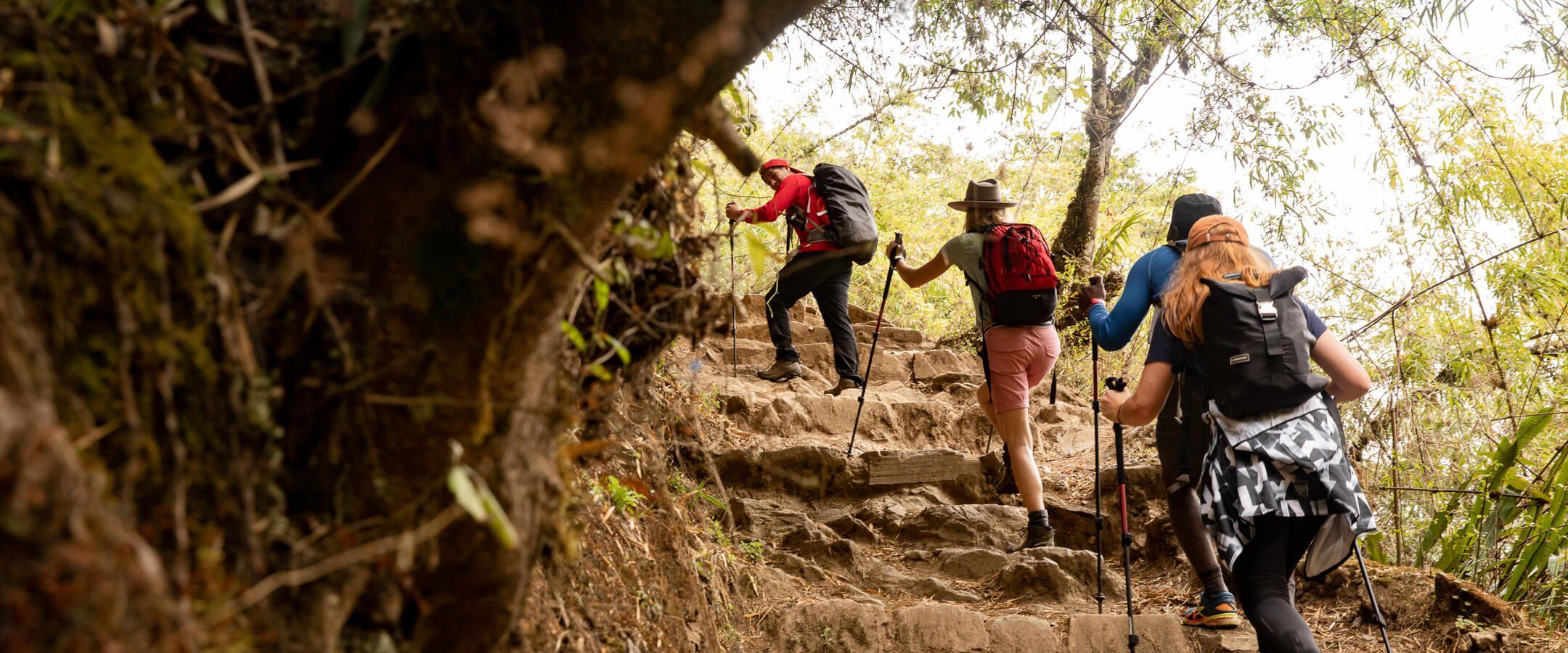 As part of their environmentally-friendly tours, Intrepid Travel lists carbon emissions for each journey so consumers can make responsible choices.

Photo: Intrepid Travel
