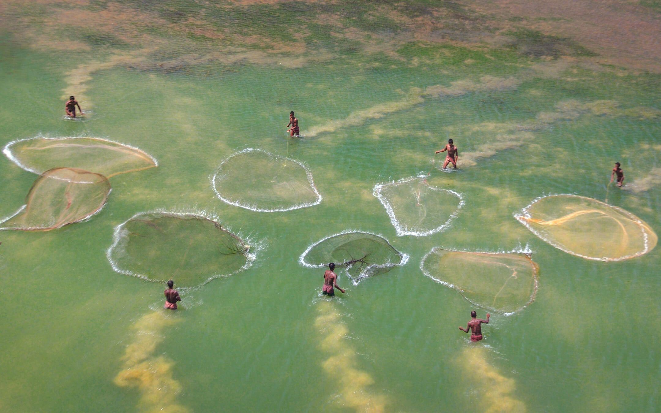 Fishermen cast their nets in a small creek in West Bengal, India. Irregular rainfall and flash floods have wreaked havoc on many rural communities in the region, bringing uncertainty to many livelihoods. 
Photographer: Debdatta Chakraborty