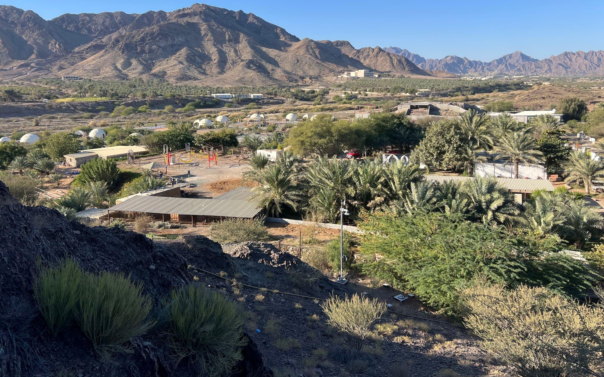 Nestled in Hatta, UAE, Grassroots Village started as a farm run by a local Emirati named Mubarak. 
Photo: Grassroots Village