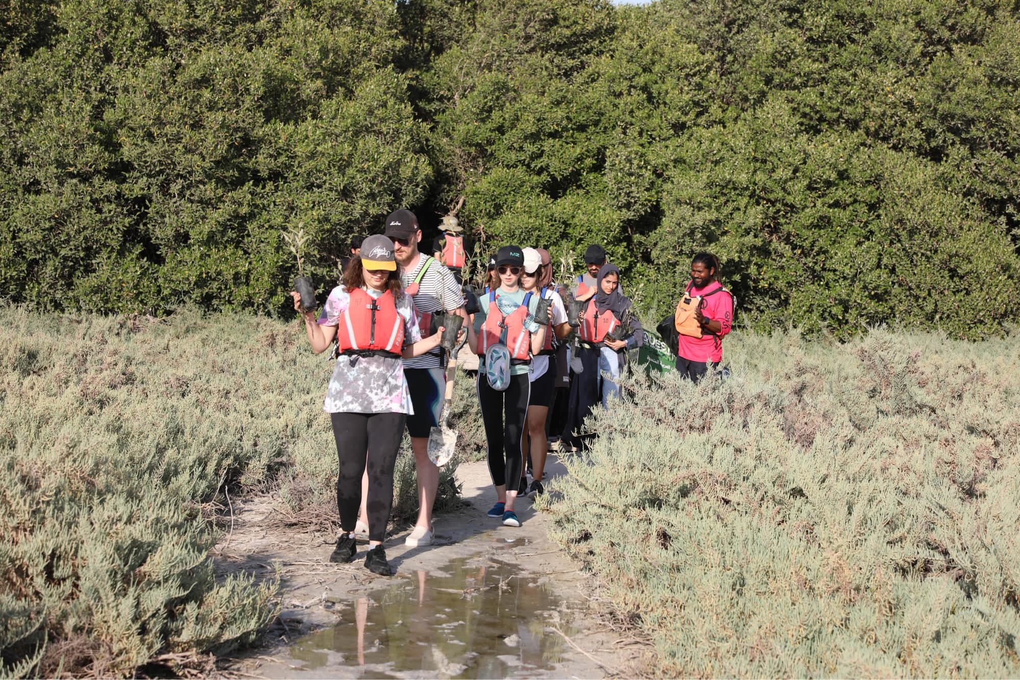 Photo: The Climate Tribe, Al Zorah Natural Reserve