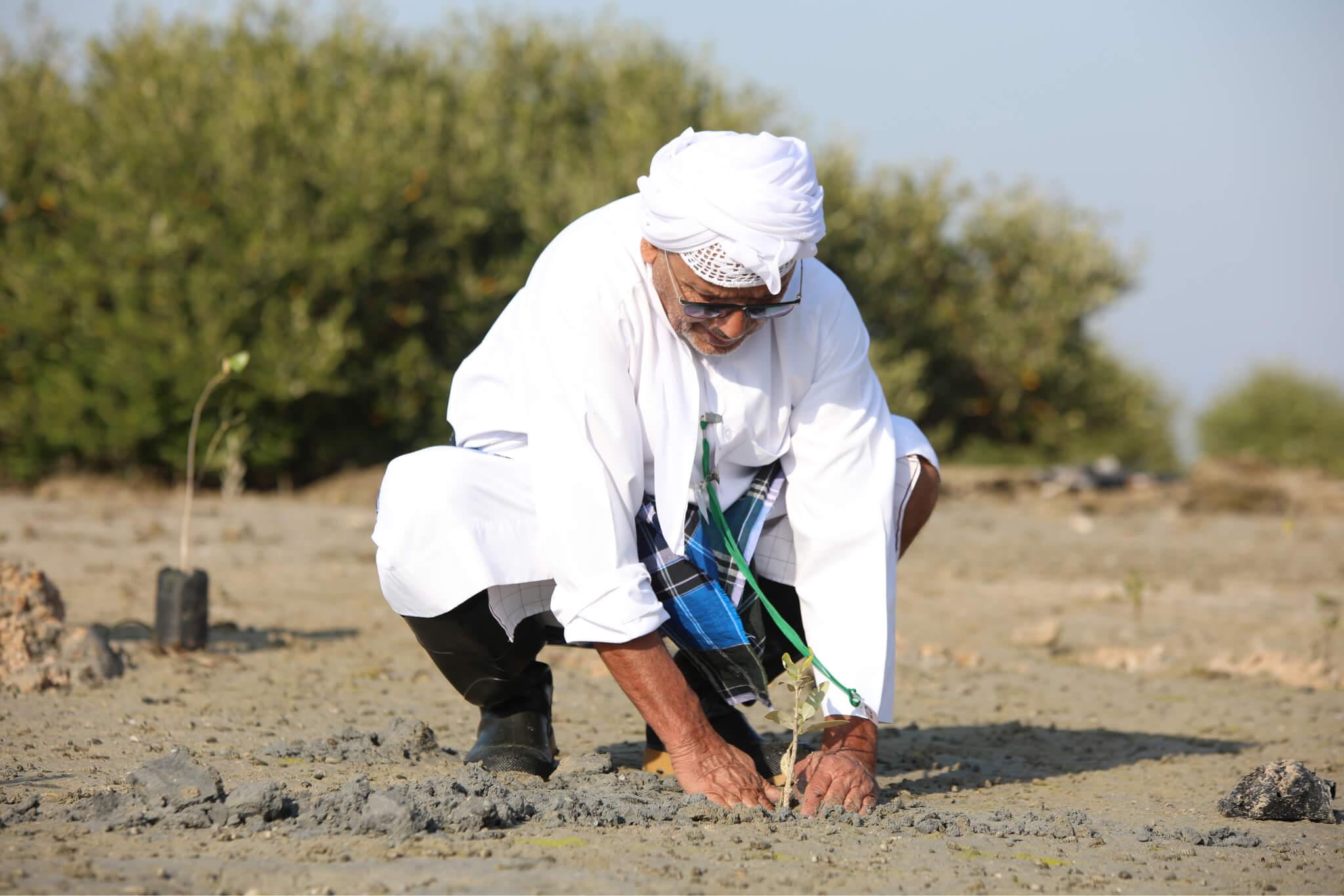 Photo: The Climate Tribe, Ras Al Khaimah