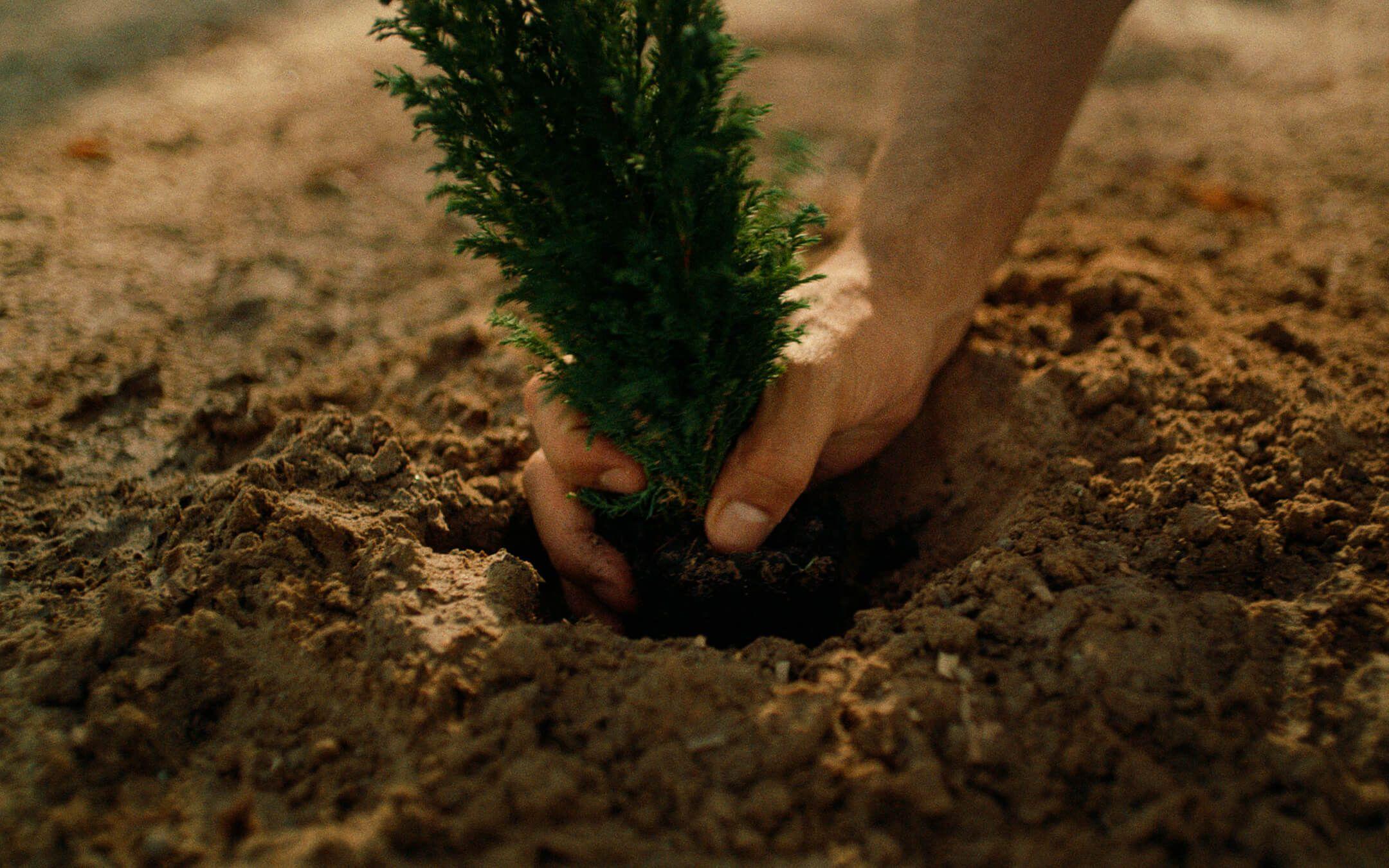 Photo: Year Of Sustainability, Abu Dhabi