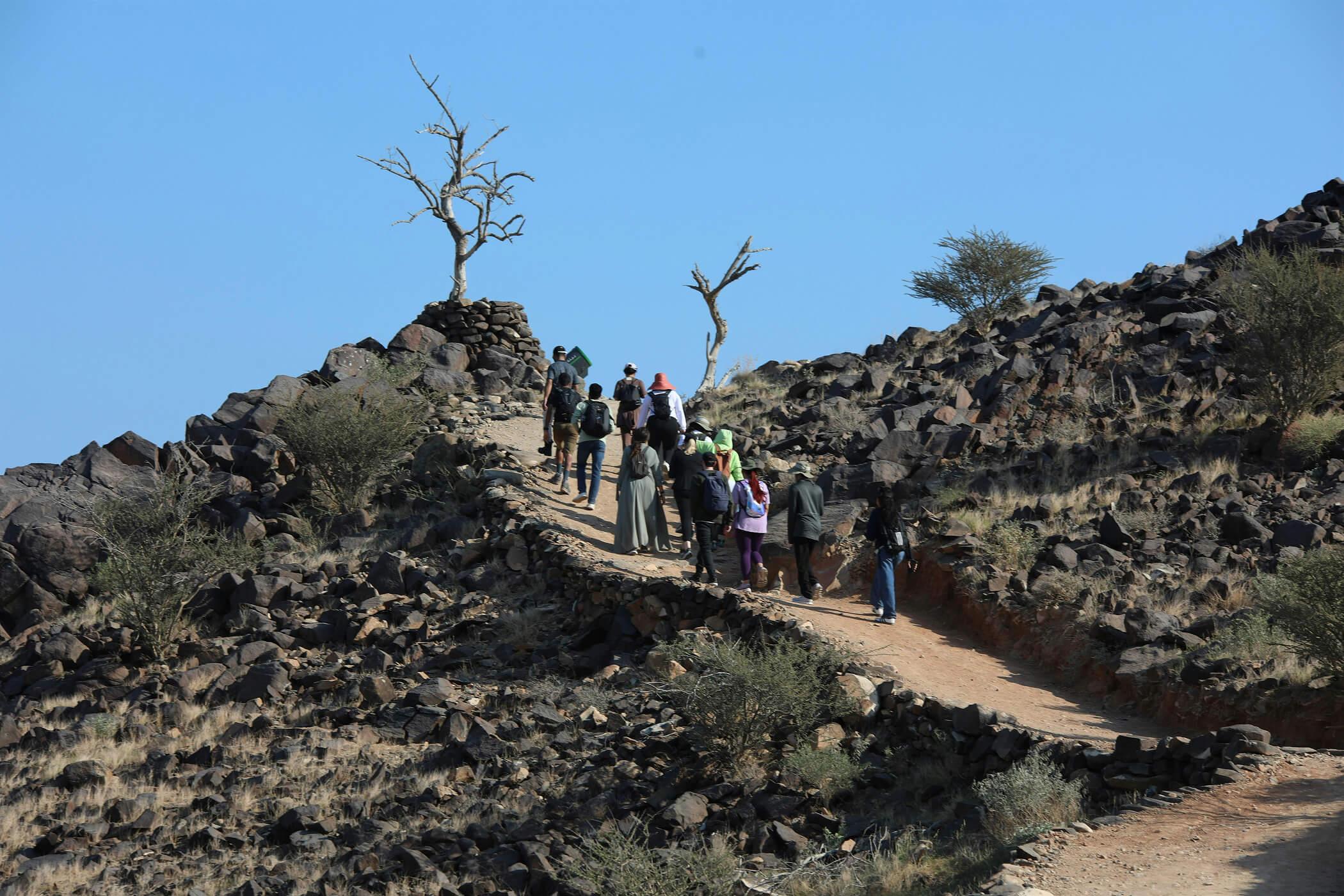 Steps for Change: Wadi Hike – Exploring Sustainability and Nature