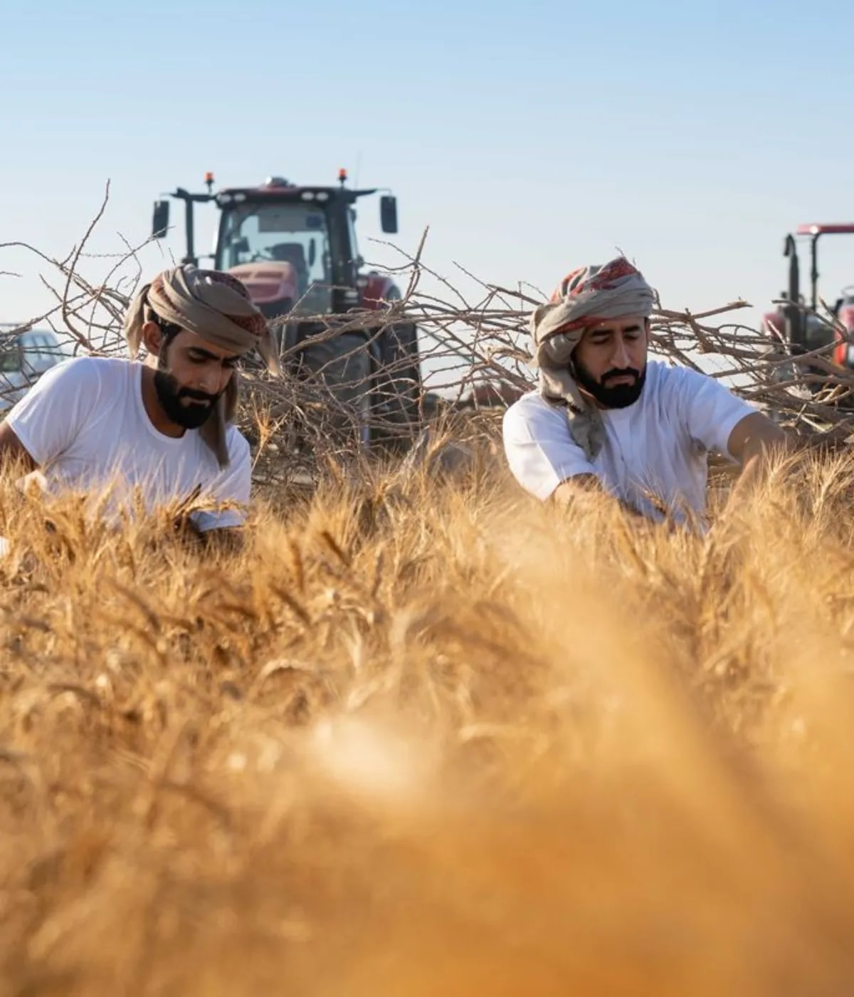 <h3>Culture-led climate storytelling</h3>