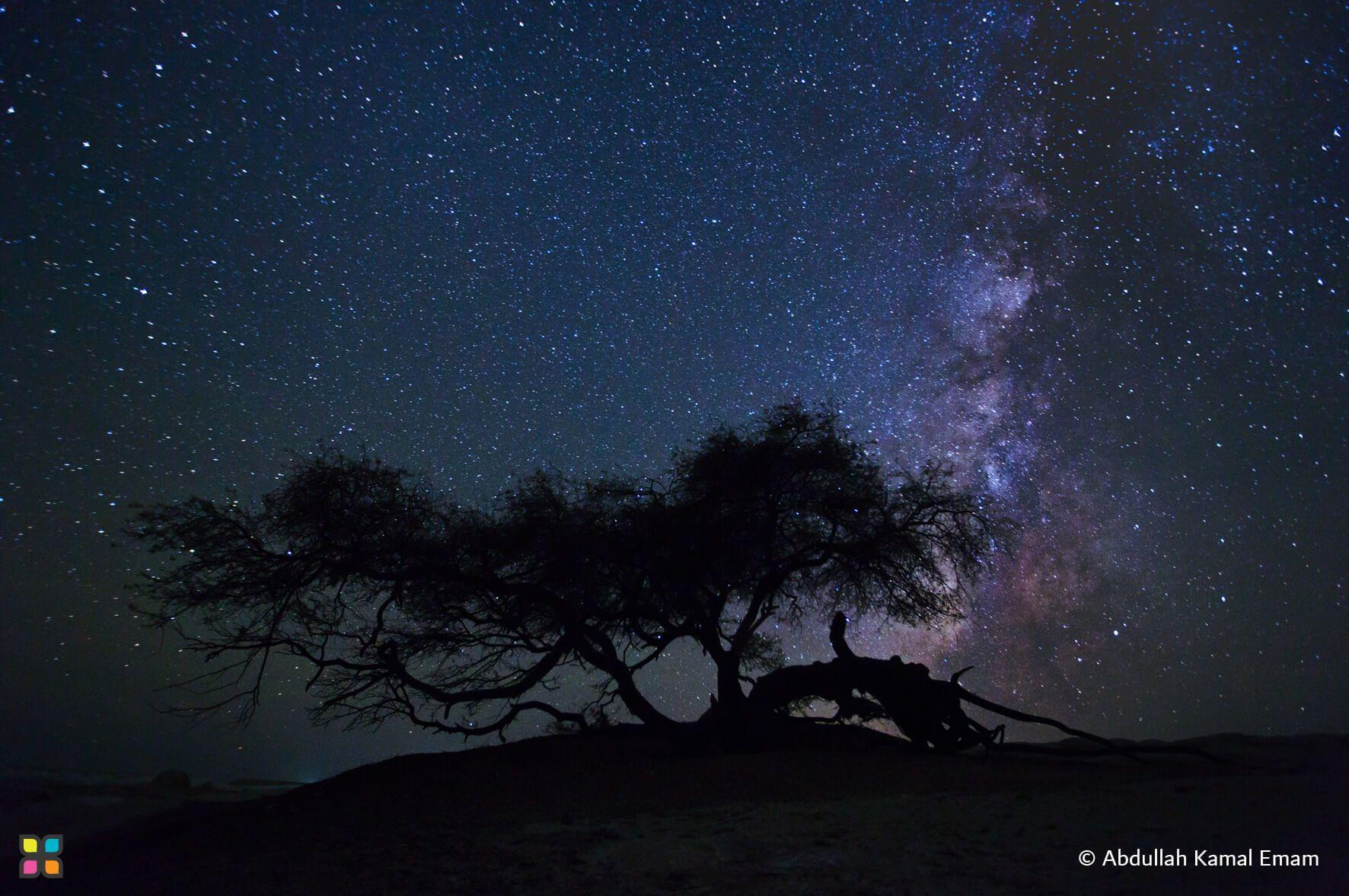 A ghaf tree stands silhouetted against the vast galaxies of the night sky.
Photographer: Abdullah Kamal Emam   Location: UAE