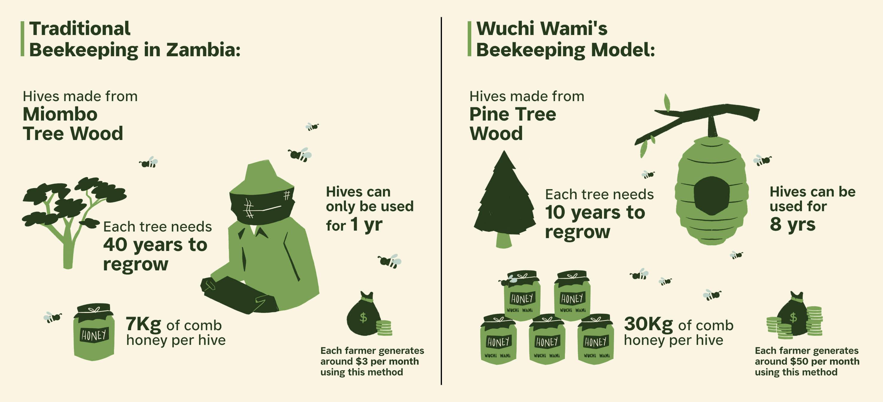 Wuchi Wami’s beekeeping utilises sustainable methods to increase production while preserving local Miombo trees. 
Infographic: The Climate Tribe