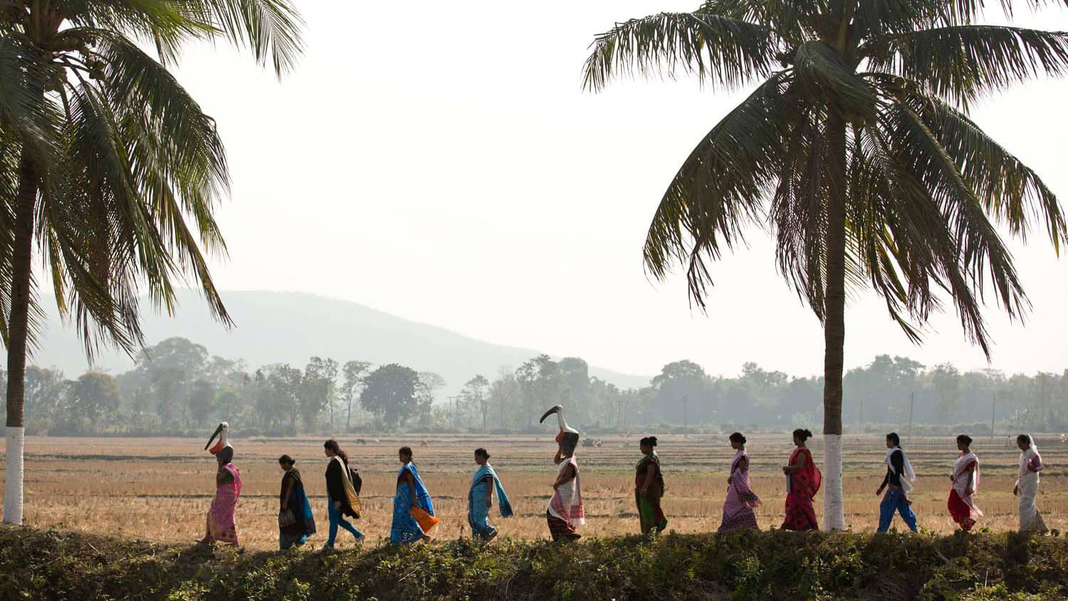 The Hargila Army is rescuing the adjutant story, also known as ‘Hargila,’ and creating a model for women’s empowerment. 
Photo: The Hargila Army