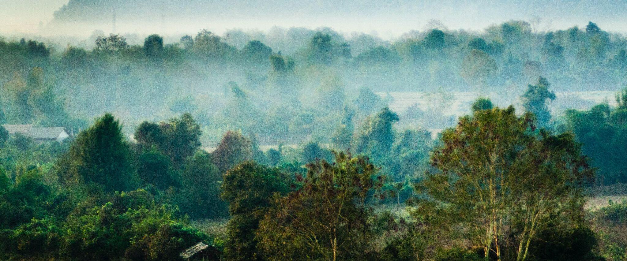 Laos PDR faces widespread deforestation and habitat loss, a situation that has long-term effects on biodiversity and land degradation. 
Photo: Unsplash