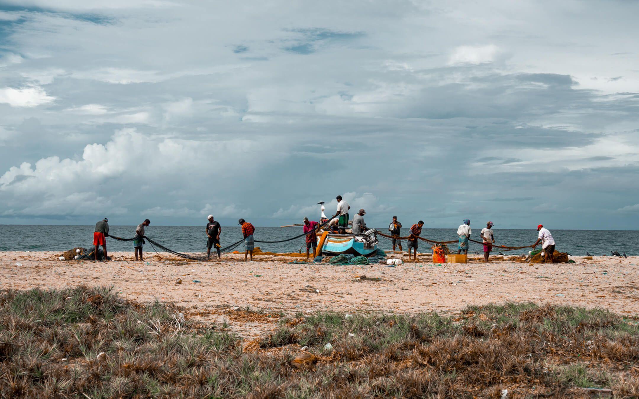 Small-scale fishing organisations pull in a beach seine in South Beach, Mannar.
Photographer: Marla Tomorug